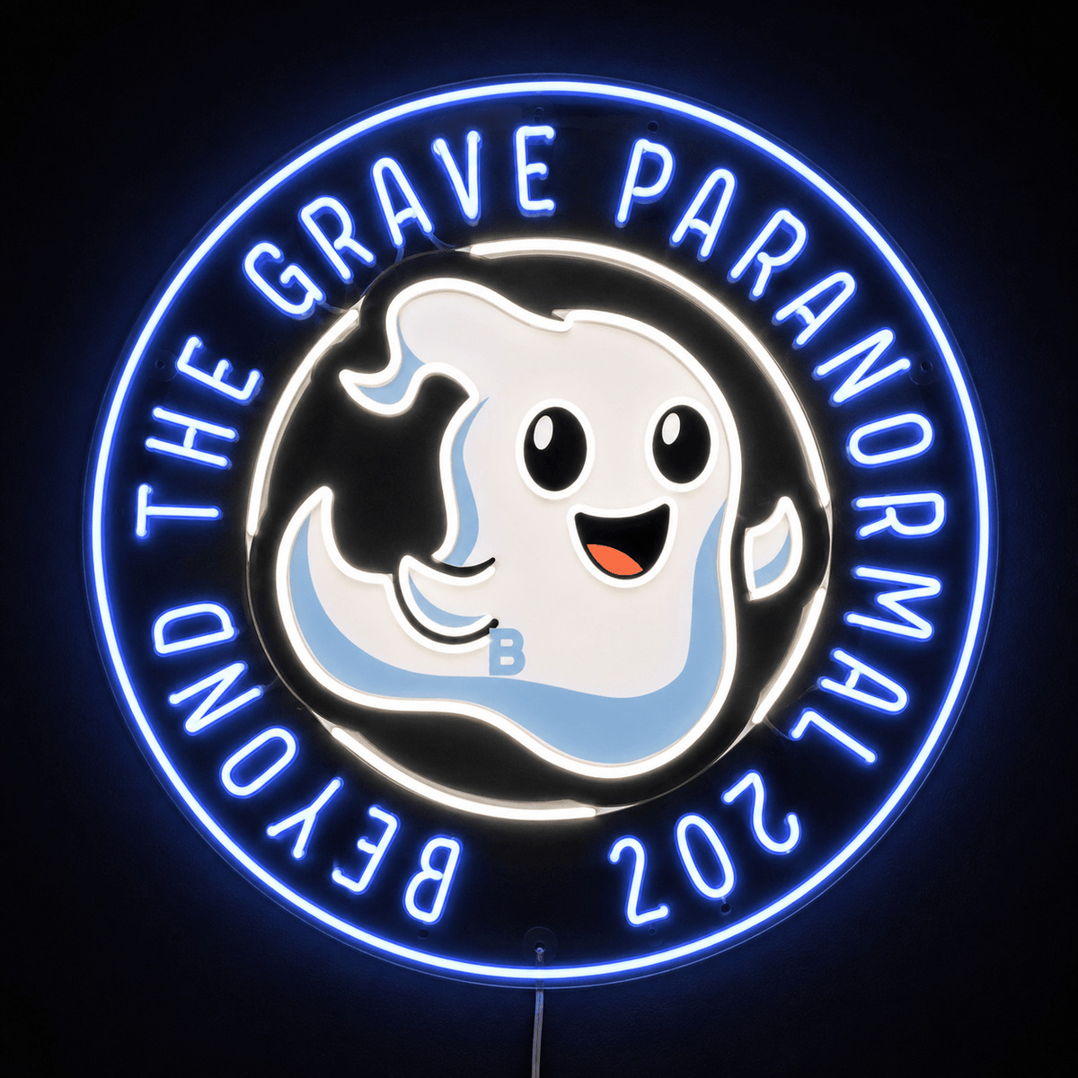 BEYOND THE GRAVE PARANORMAL 207 Custom LED Neon Sign - Shineneon