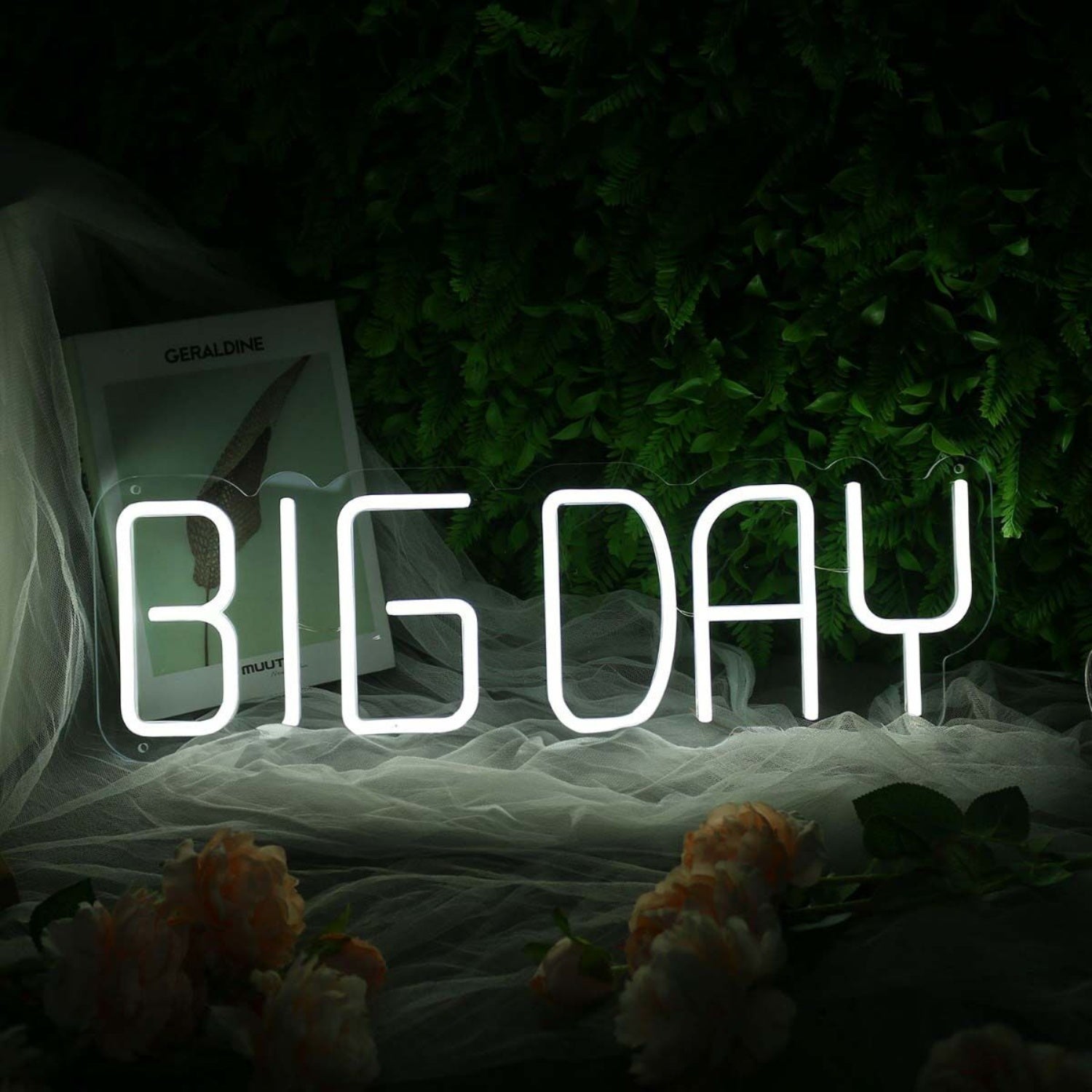 Big Day White Neon Sign | Shineneon