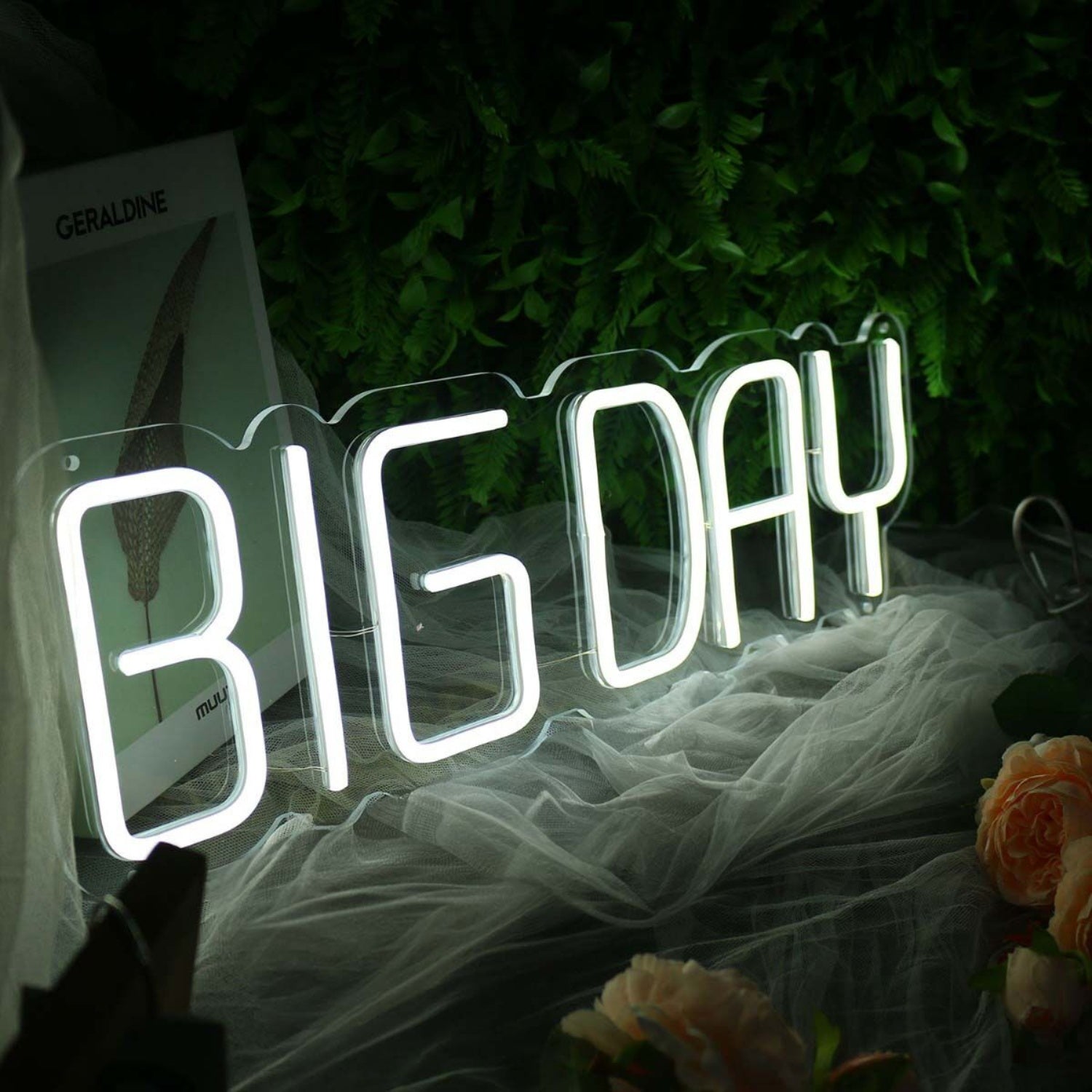 Big Day White Neon Sign | Shineneon