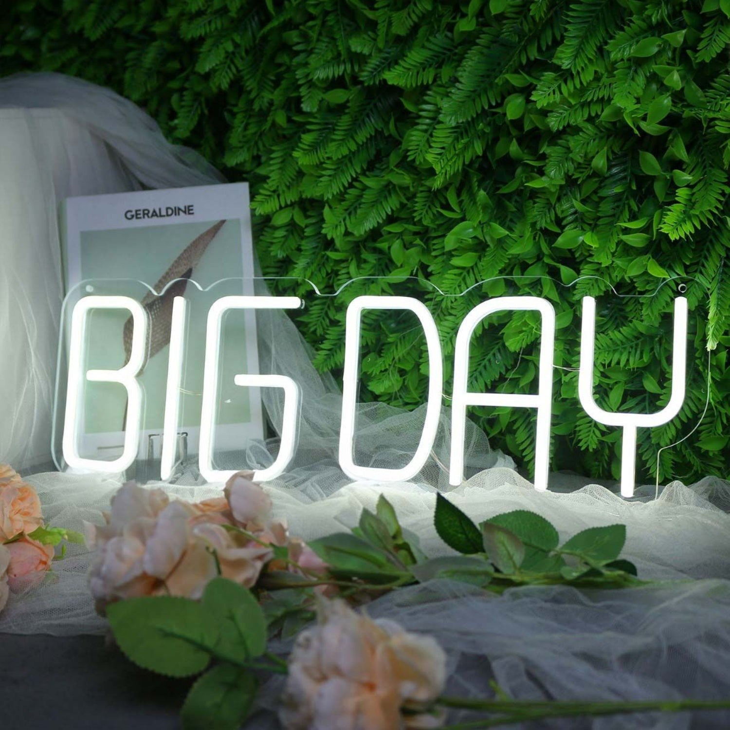 Big Day White Neon Sign | Shineneon