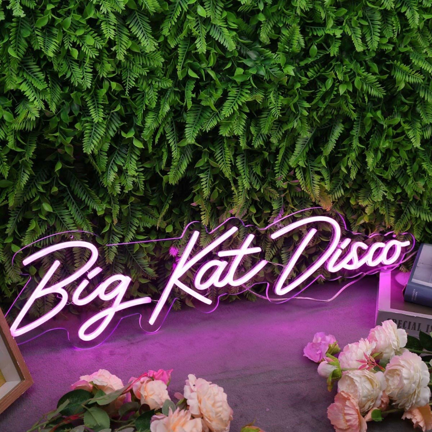 Big Kat Disco Purple Led Neon Sign - Shineneon