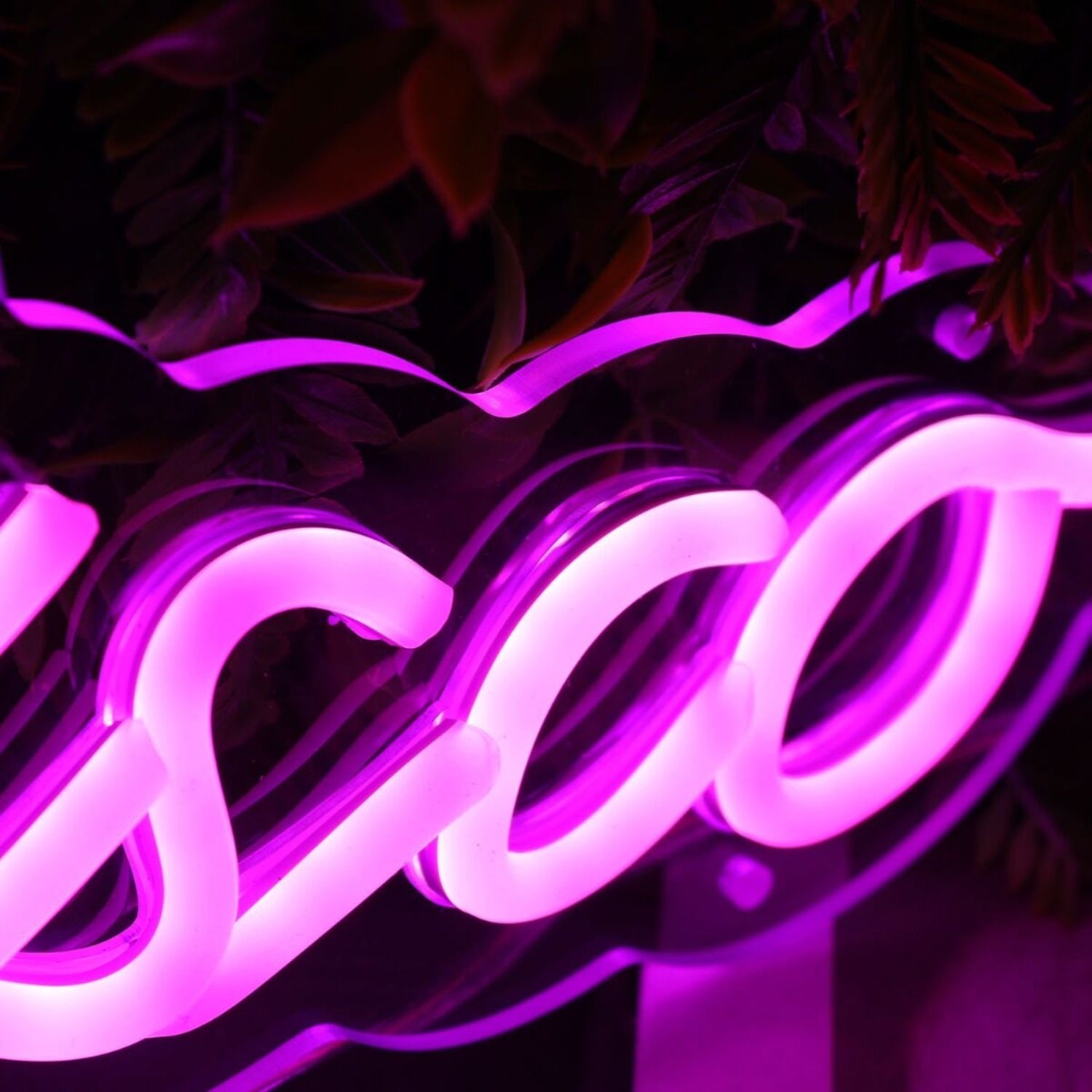 Big Kat Disco Purple Led Neon Sign - Shineneon