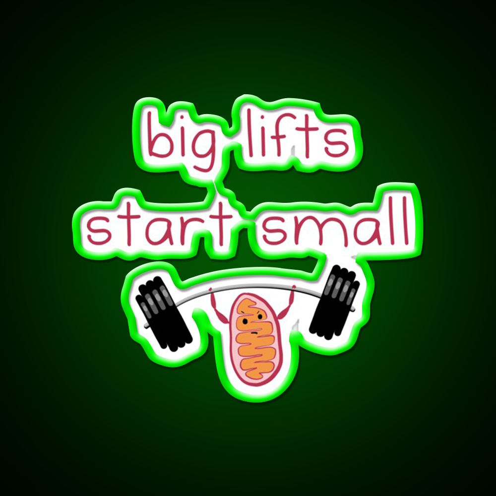 Big Lifts Start Small Gym Fitness Led Neon Sign Rgb Color