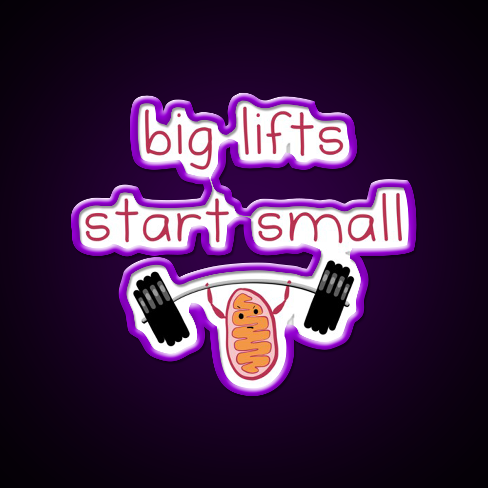 Big Lifts Start Small Gym Fitness Led Neon Sign Rgb Color