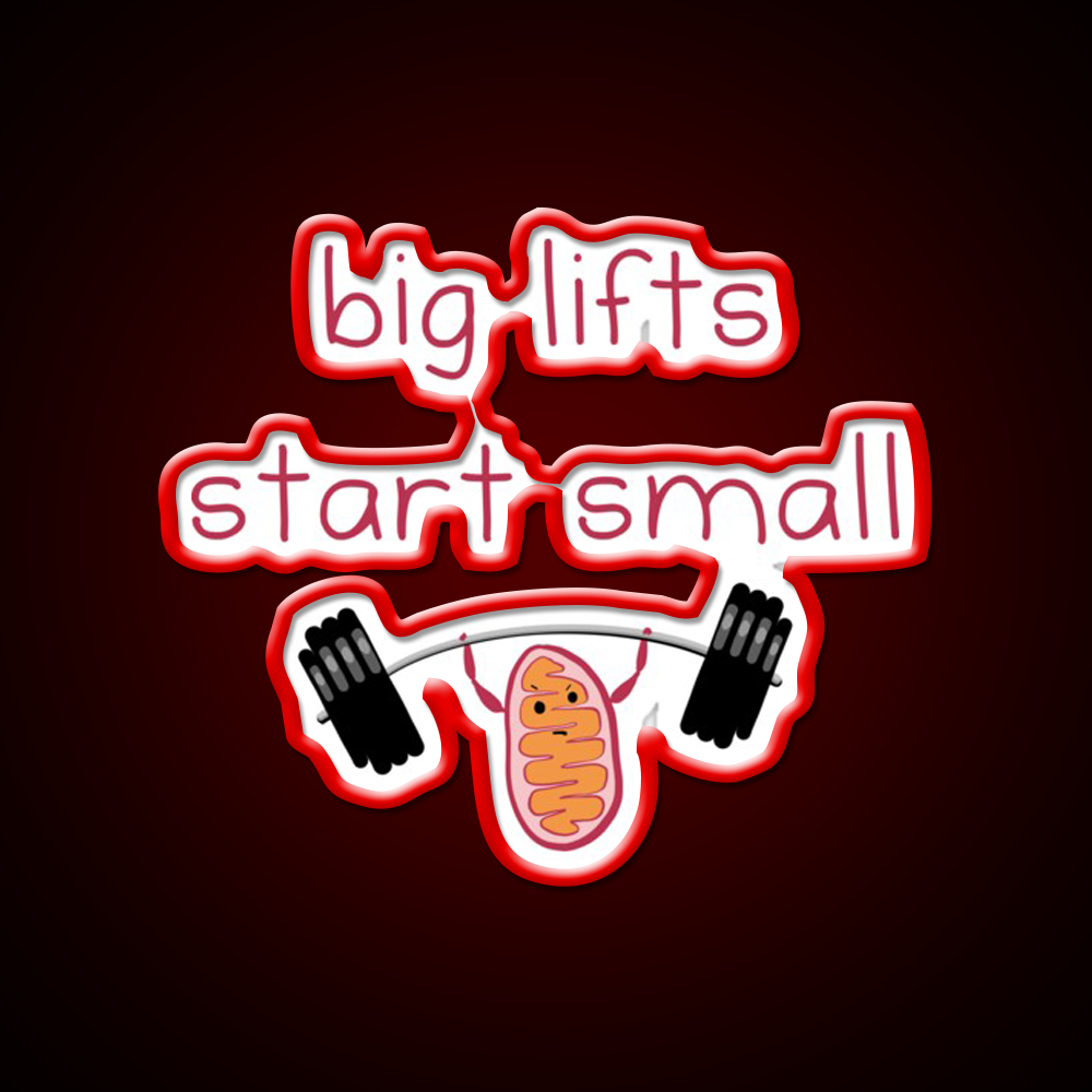 Big Lifts Start Small Gym Fitness Led Neon Sign Rgb Color