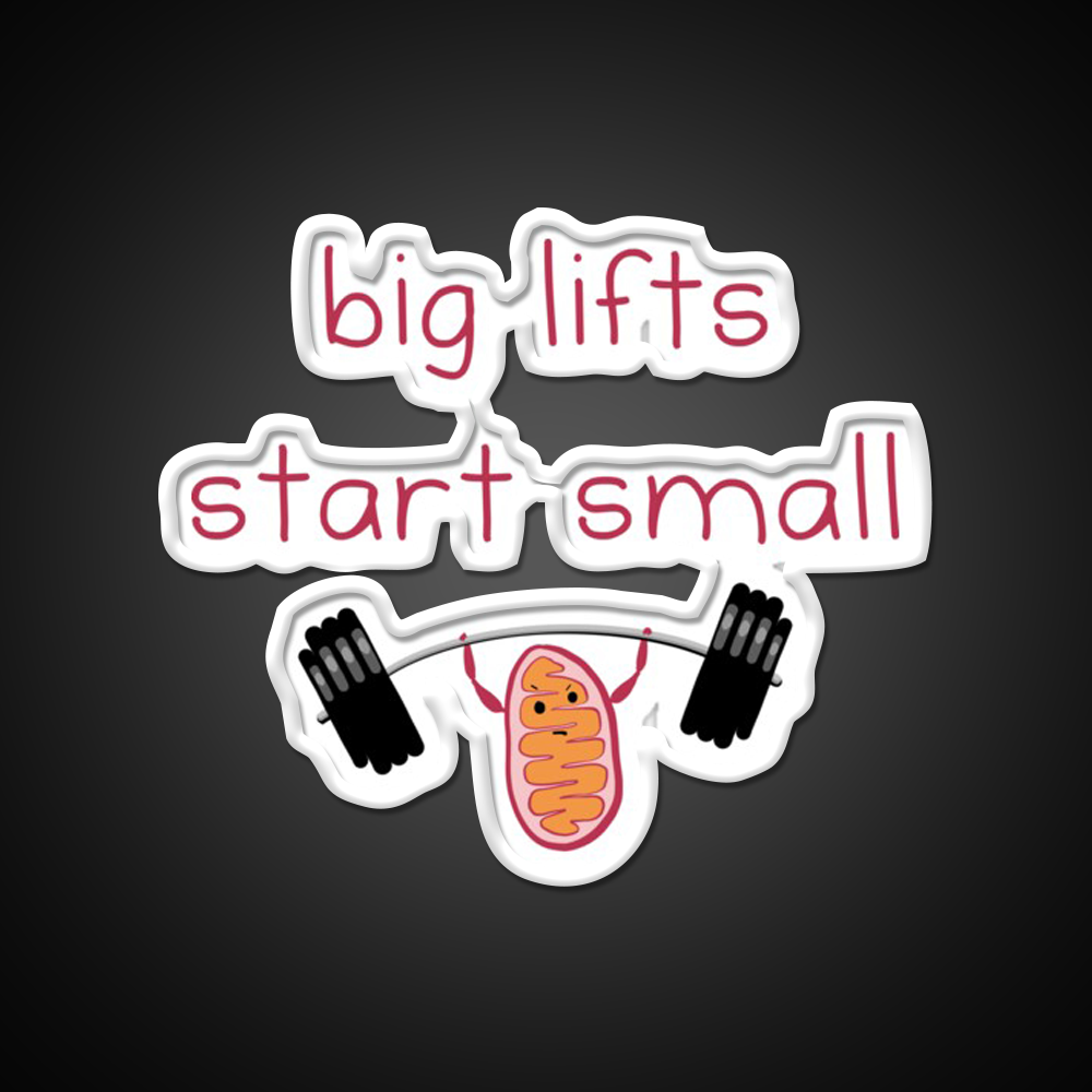 Big Lifts Start Small Gym Fitness Led Neon Sign Rgb Color