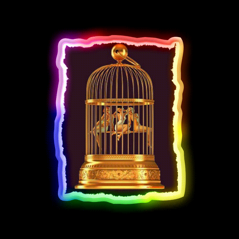 Bird Cage Cocktail Bar Decor Led Neon Sign Rgb Color - LED neon sign close-up detail