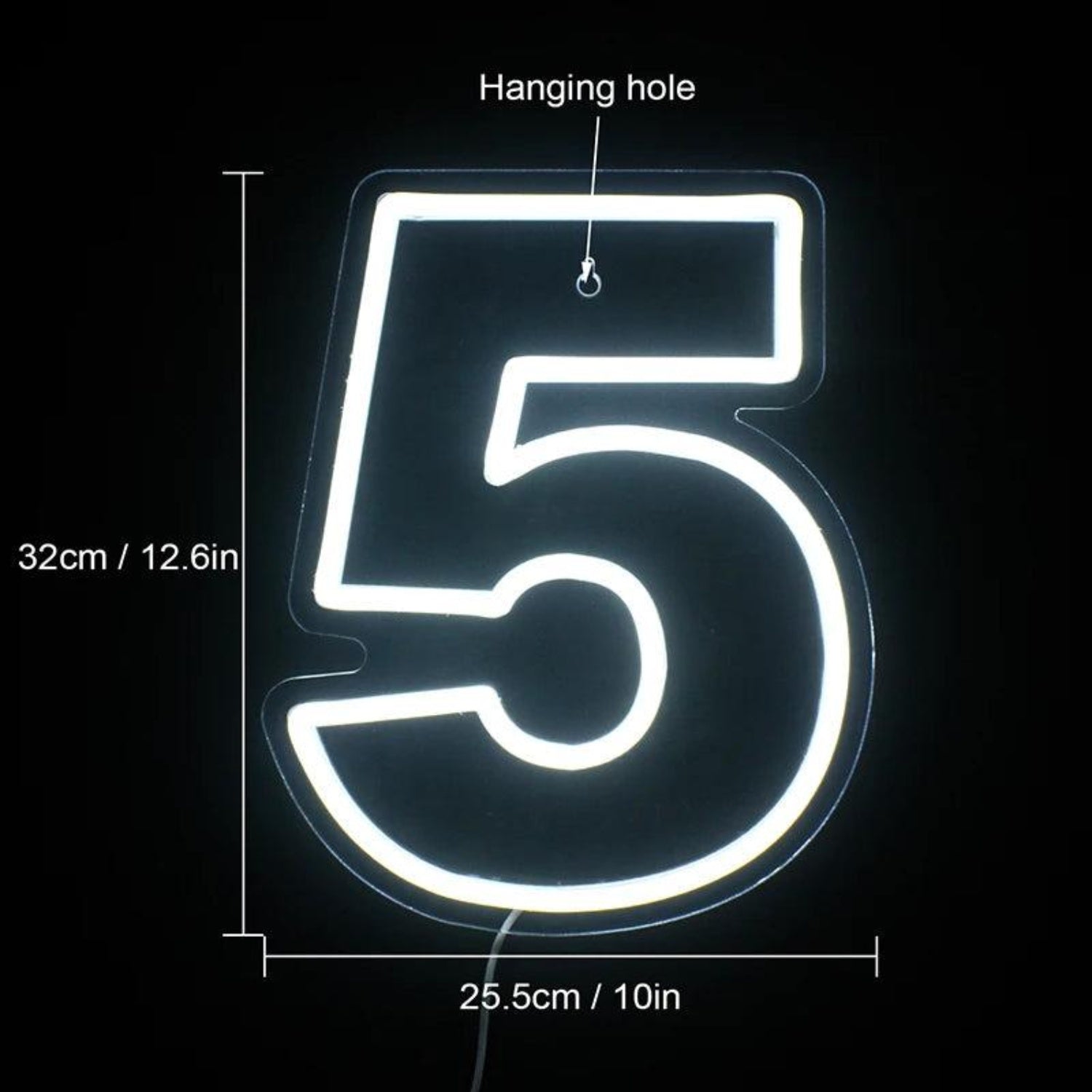 Birthday Number Led Neon Sign For Indoor Party Decor | Shineneon