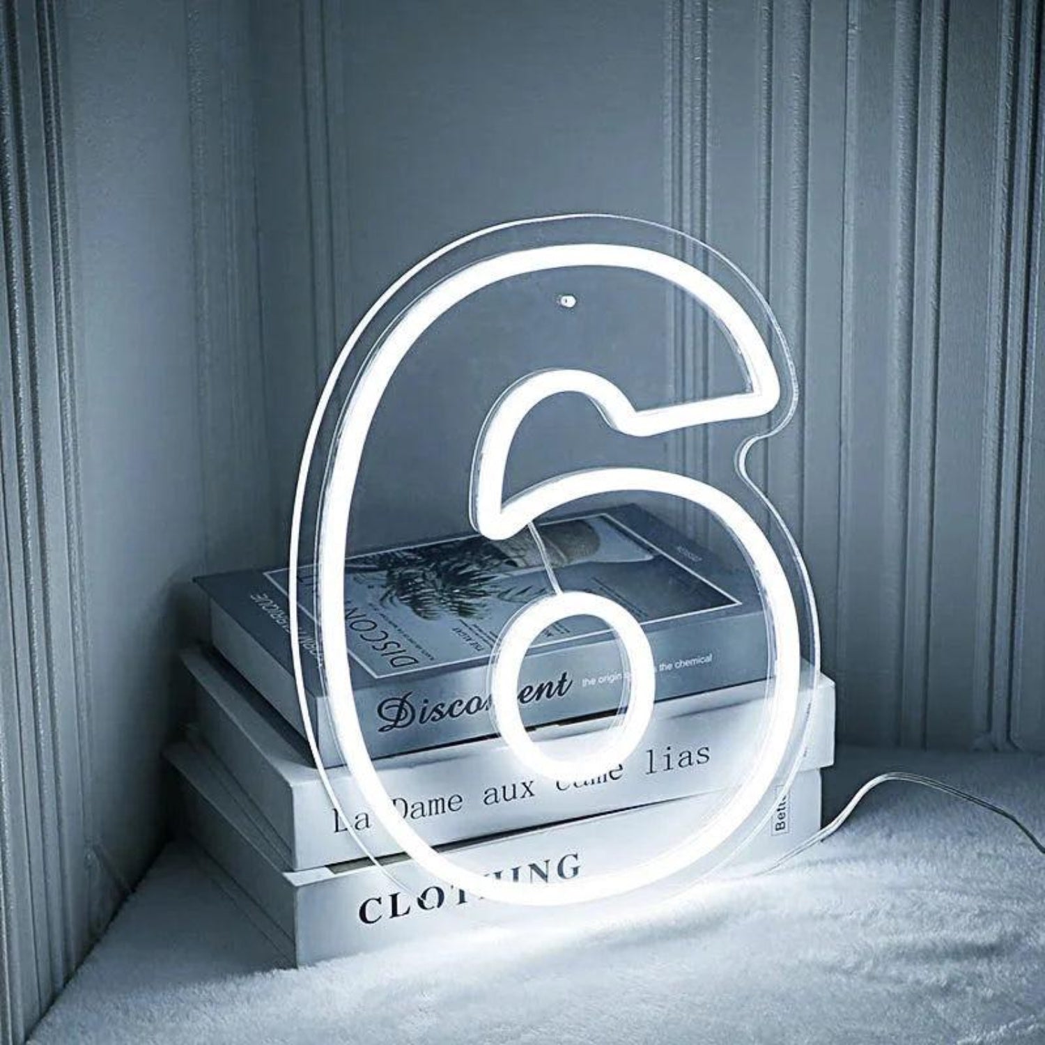 Birthday Number Led Neon Sign For Indoor Party Decor | Shineneon