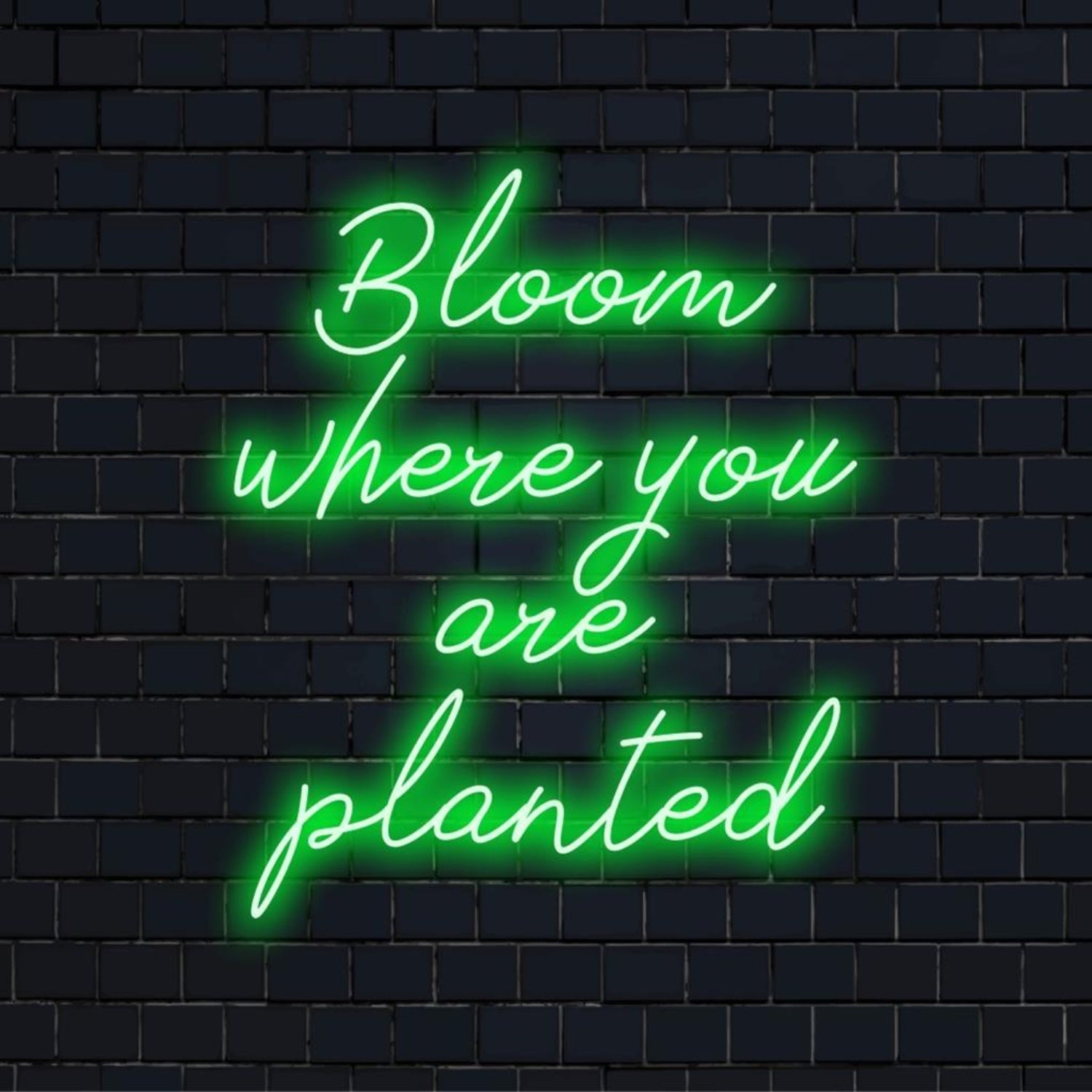 Bloom Where Planted Green Led Neon Sign For Home Decor Cafe Wall Art | Shineneon