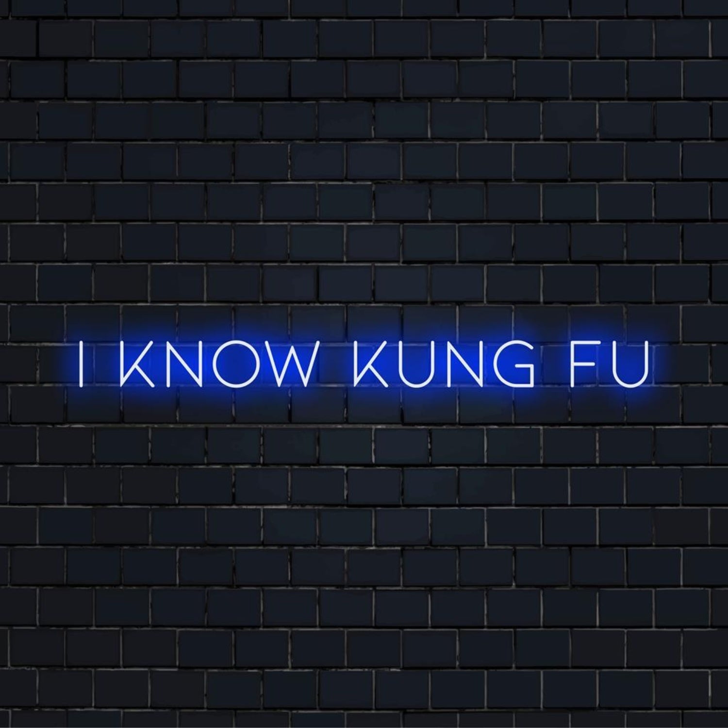 Blue I Know Kung Fu Led Neon Sign For Martial Arts Gym Bar Decor | Shineneon