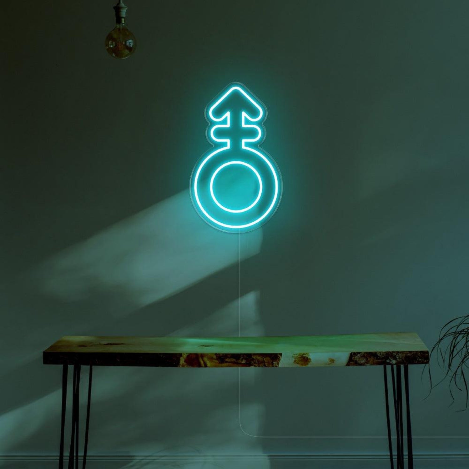 Blue Male Symbol Led Neon Sign For Modern Room Decor | Shineneon