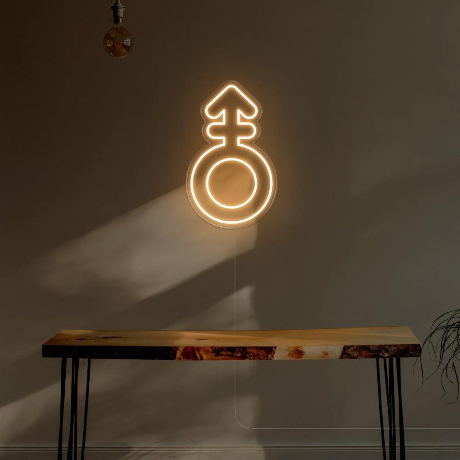 Blue Male Symbol Led Neon Sign For Modern Room Decor | Shineneon