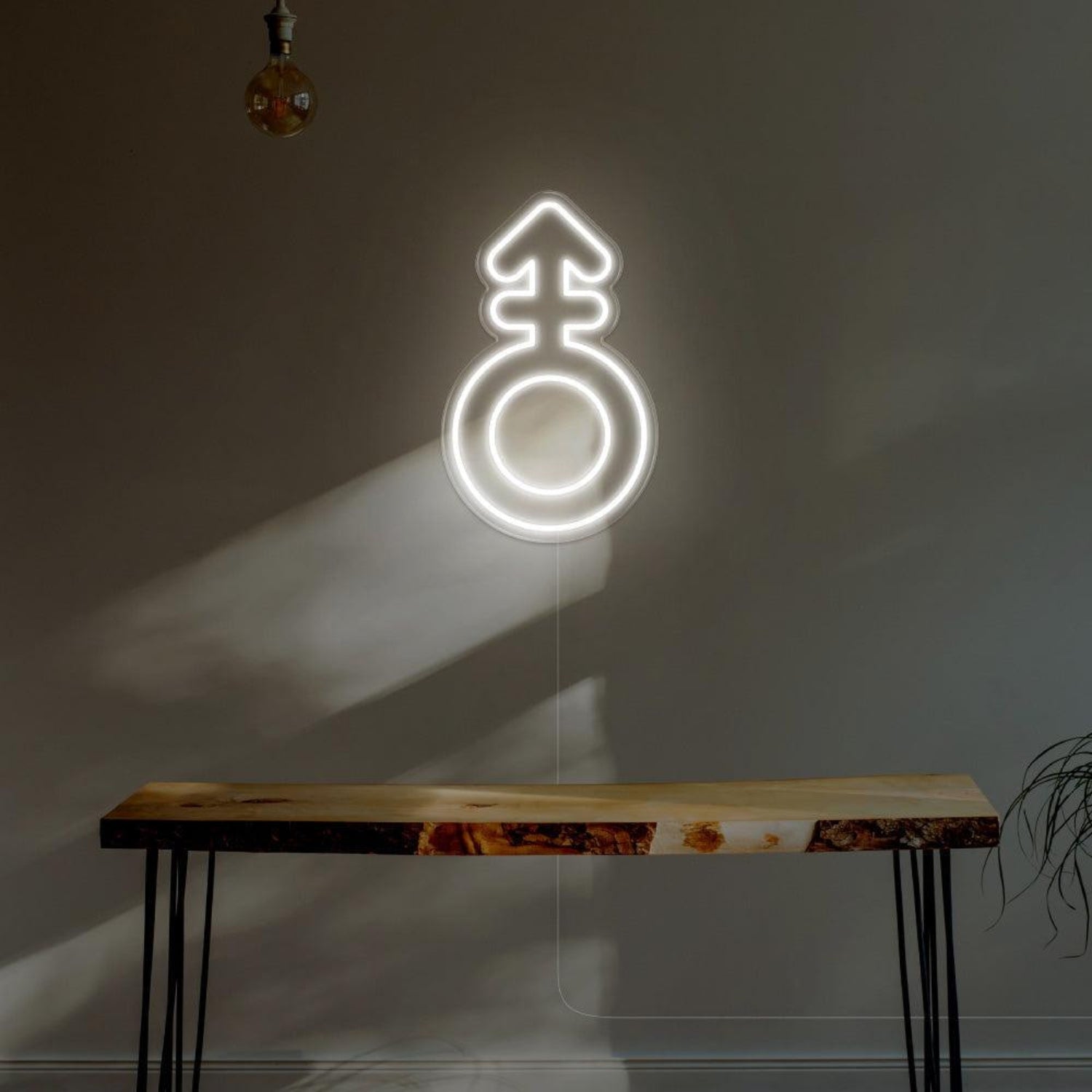 Blue Male Symbol Led Neon Sign For Modern Room Decor | Shineneon