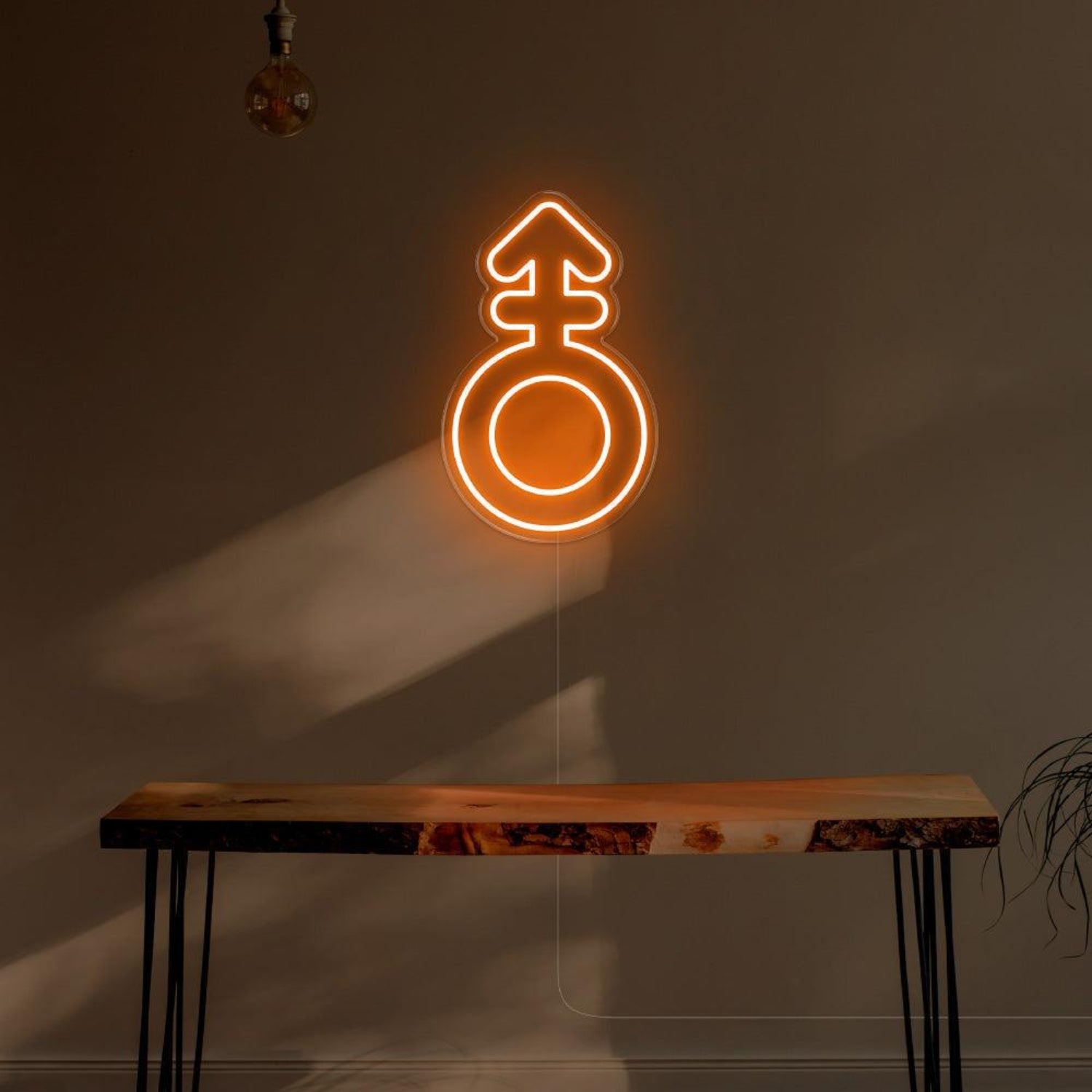 Blue Male Symbol Led Neon Sign For Modern Room Decor | Shineneon