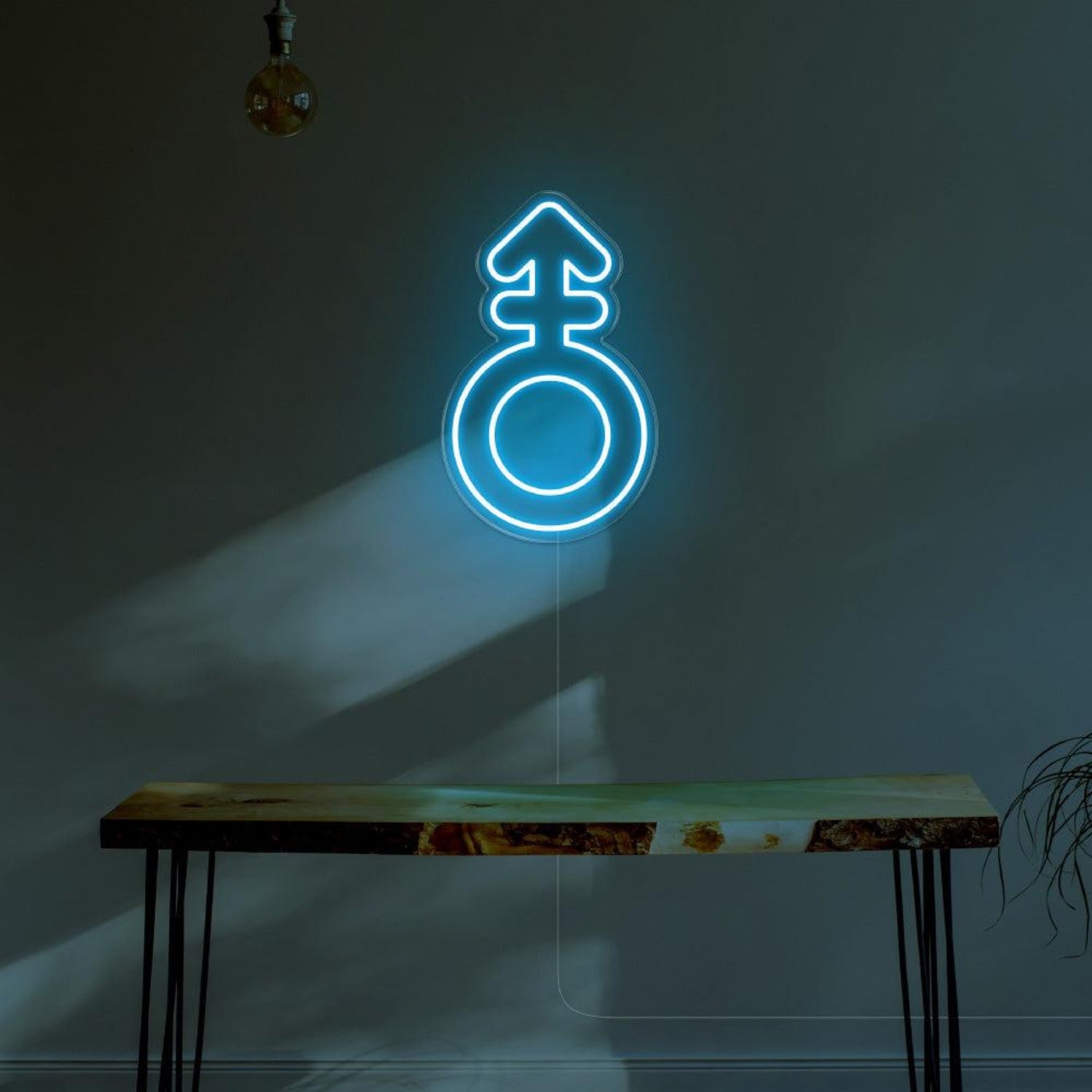 Blue Male Symbol Led Neon Sign For Modern Room Decor | Shineneon