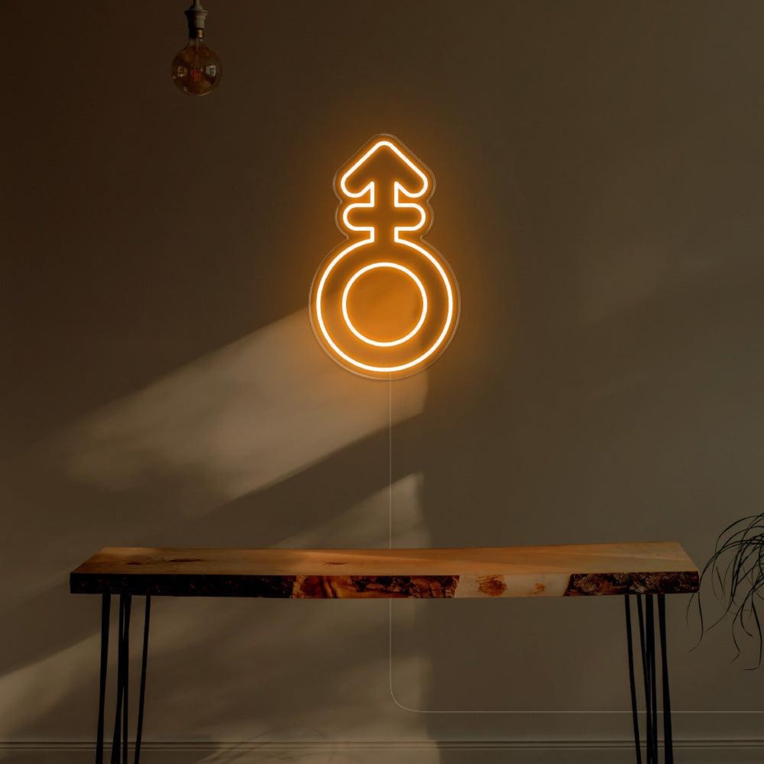 Blue Male Symbol Led Neon Sign For Modern Room Decor | Shineneon