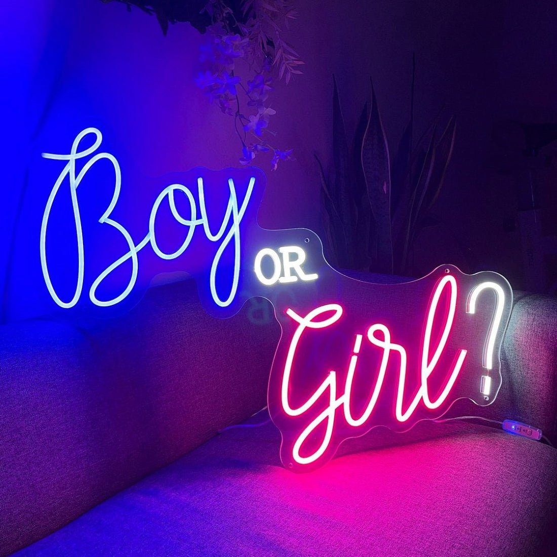Boy Or Girl Led Sign Business Neon Signs - Shineneon
