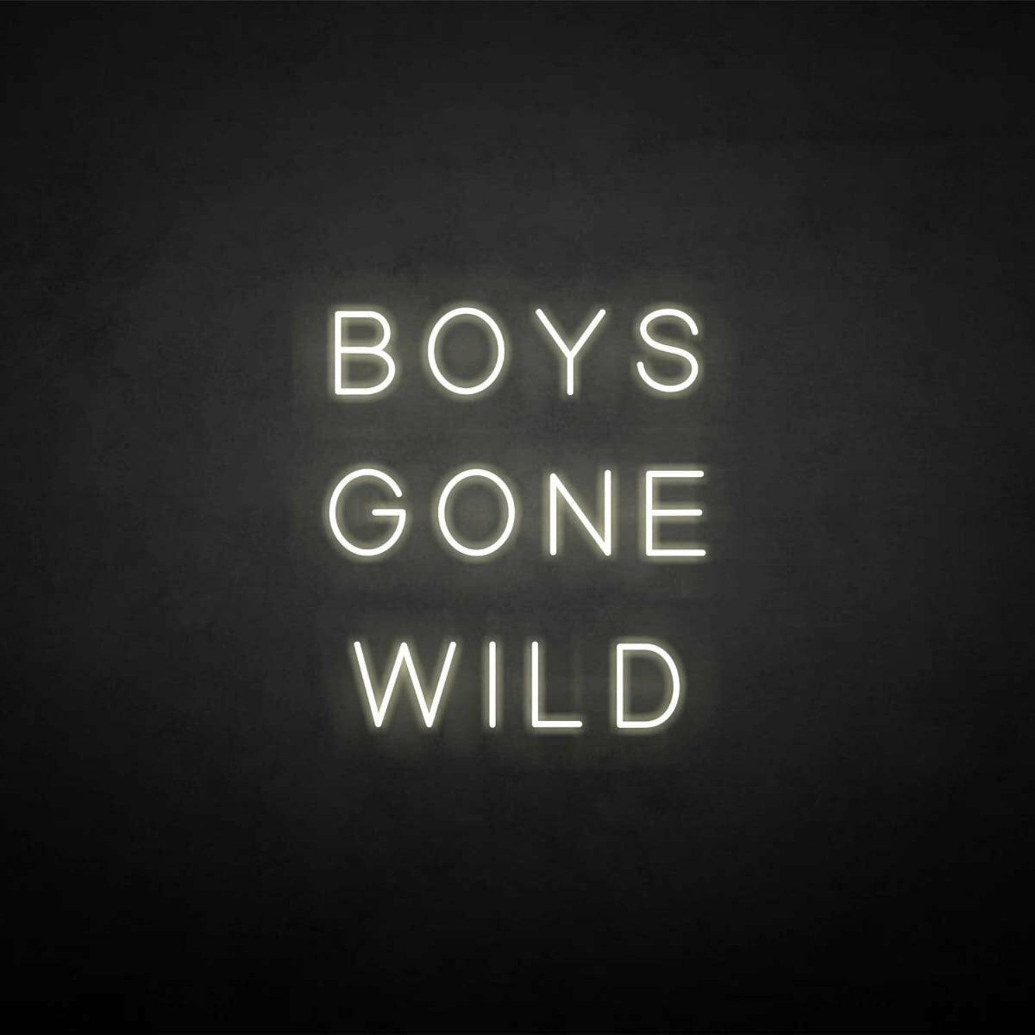 Boys Gone Wild Neon Sign | Shineneon