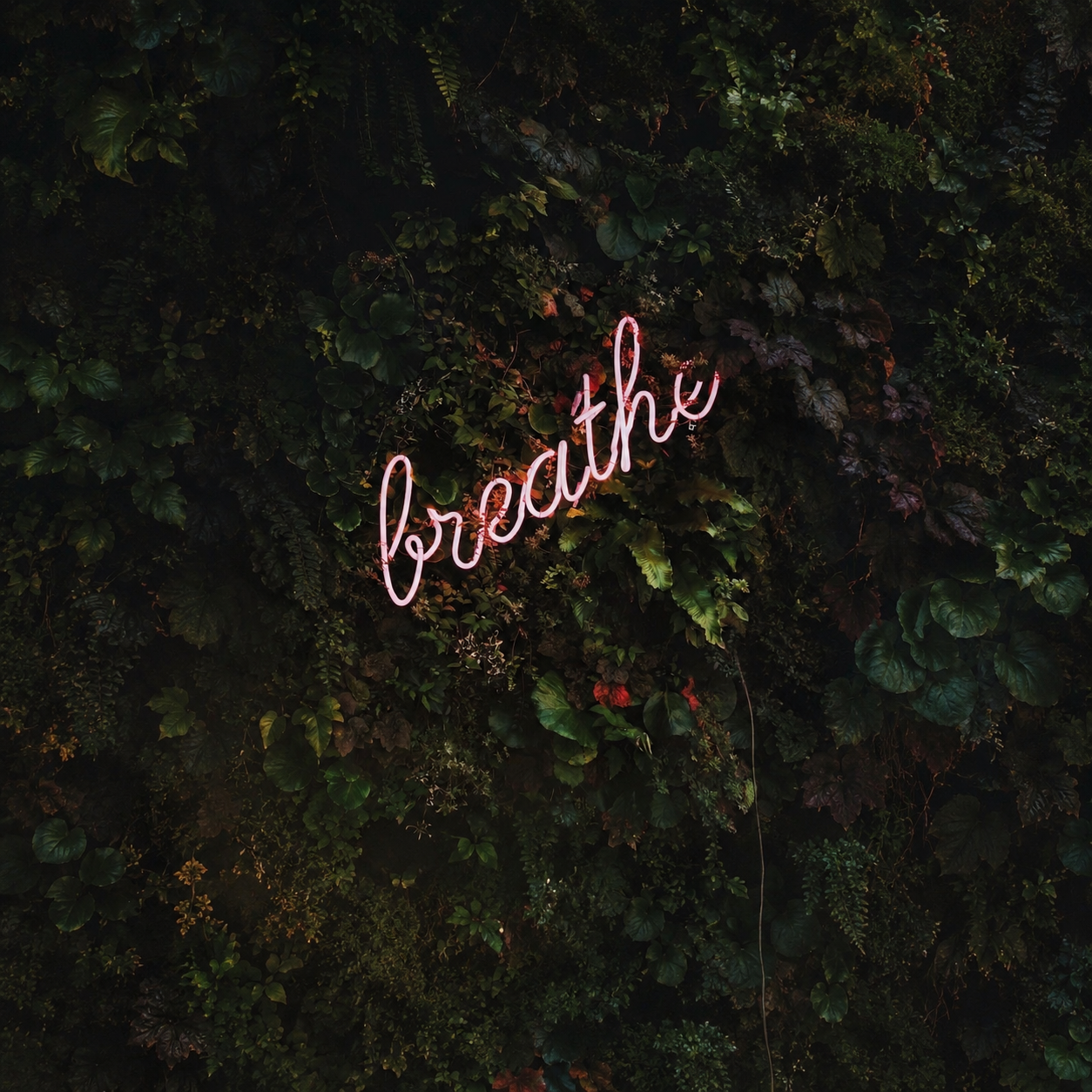 Breathe Wall Decor LED Neon Sign - 01 Original Product Image