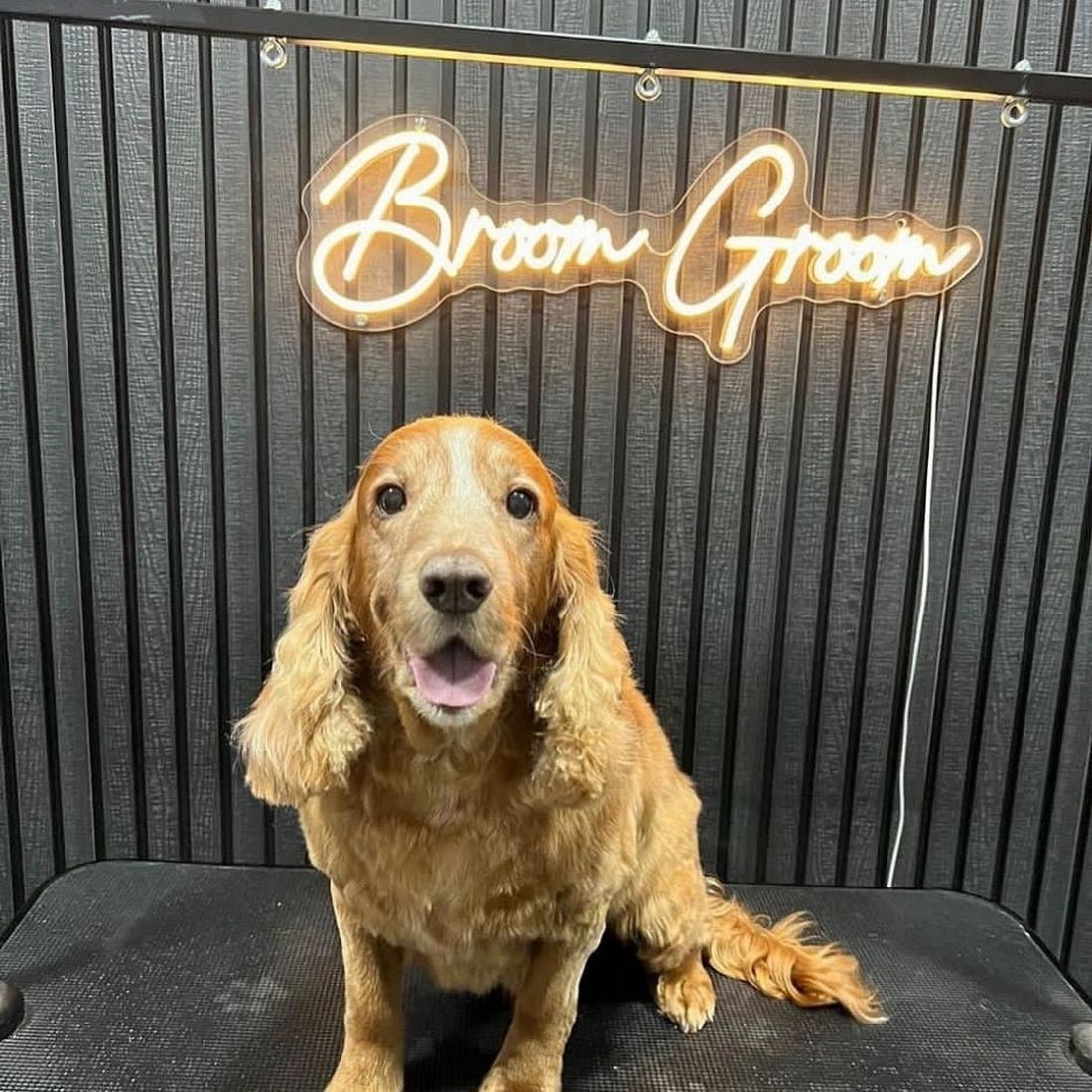 Broom Groom Led Sign Business Neon Sign - Shineneon