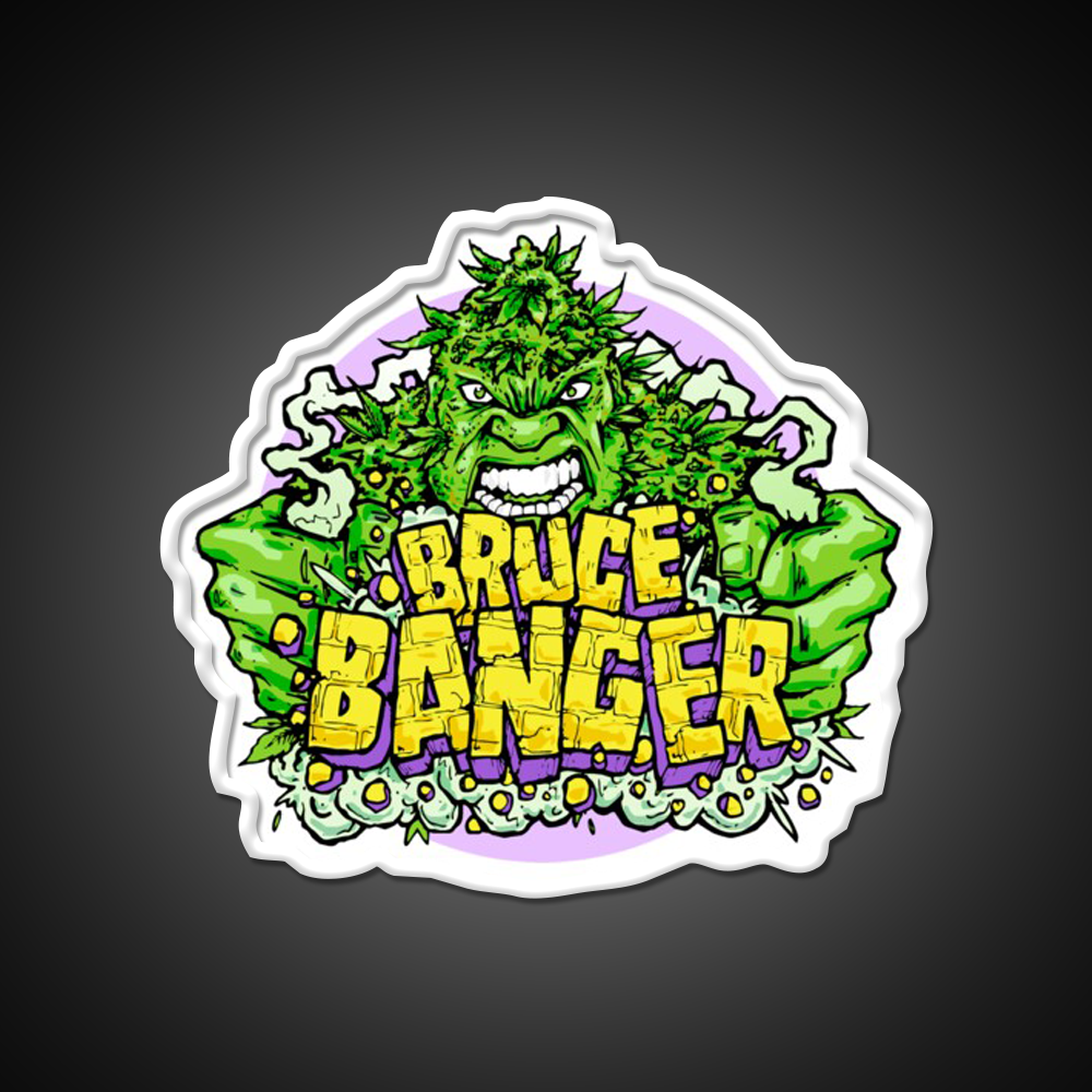 Bruce Banger Seed Artwork Hemp Inspired Green Leaf Led Neon Sign Rgb Color - LED neon sign view 11