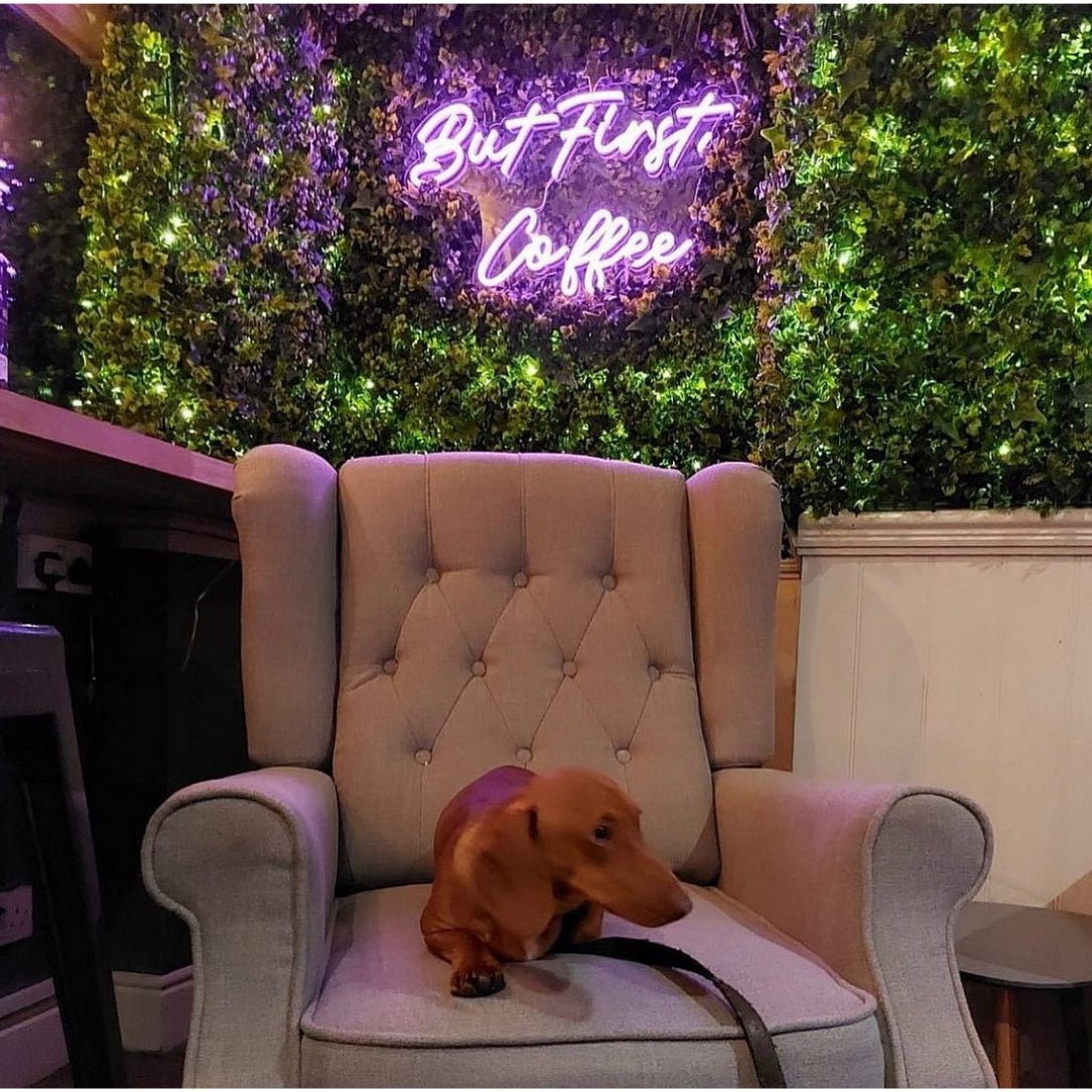 But First Coffee Led Sign Business Neon Signs Wall Decors - Shineneon