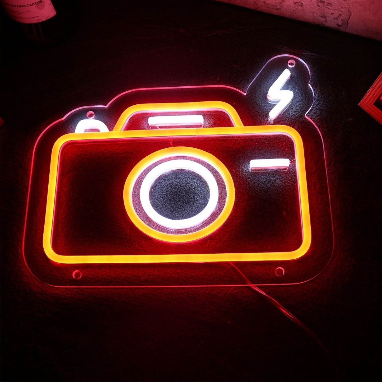 Camera Flashing Led Neon Sign - Shineneon