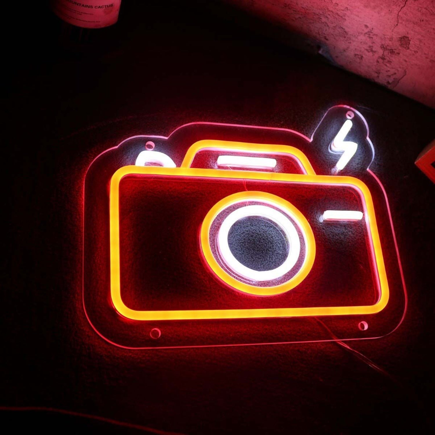 Camera Flashing Led Neon Sign - Shineneon