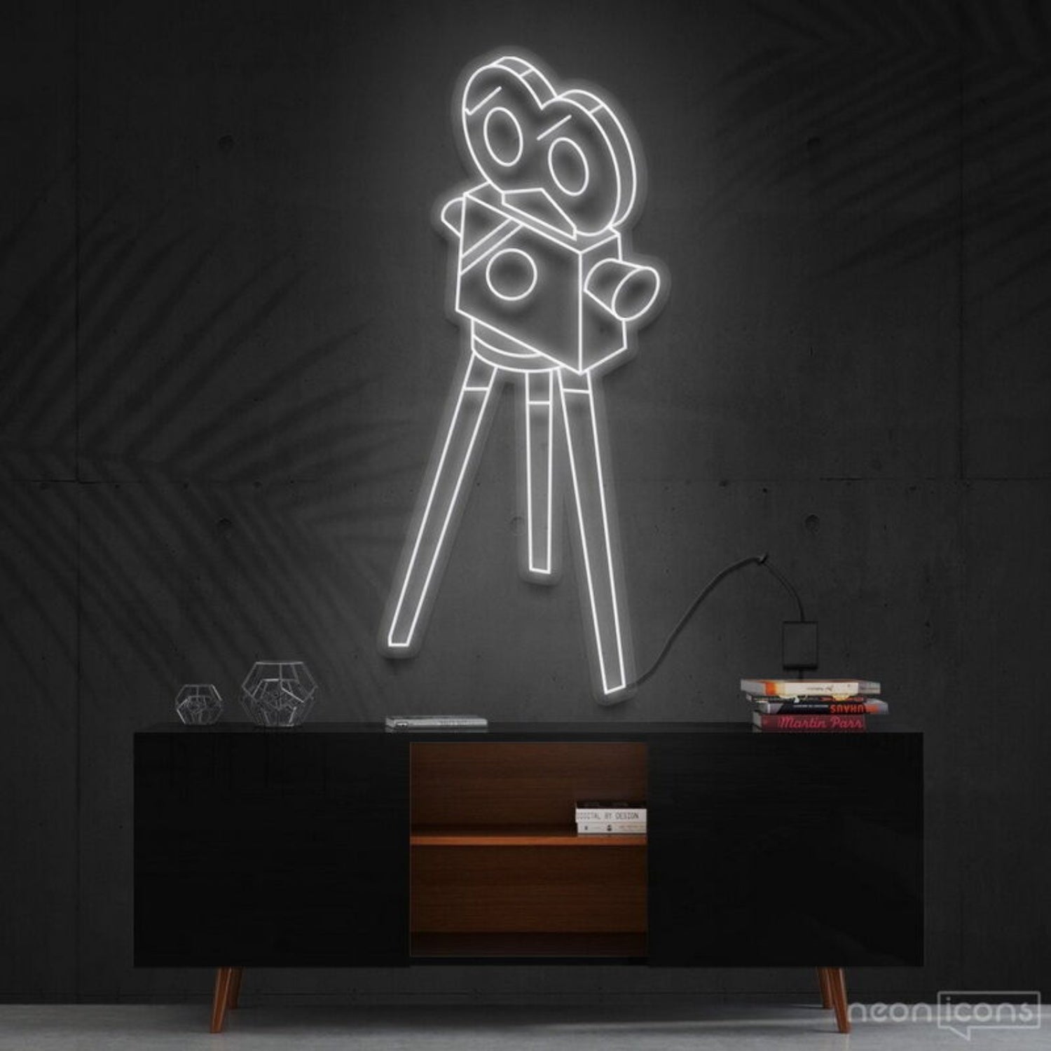 Camera Roll Led Neon Sign For Photography Enthusiasts - Shineneon