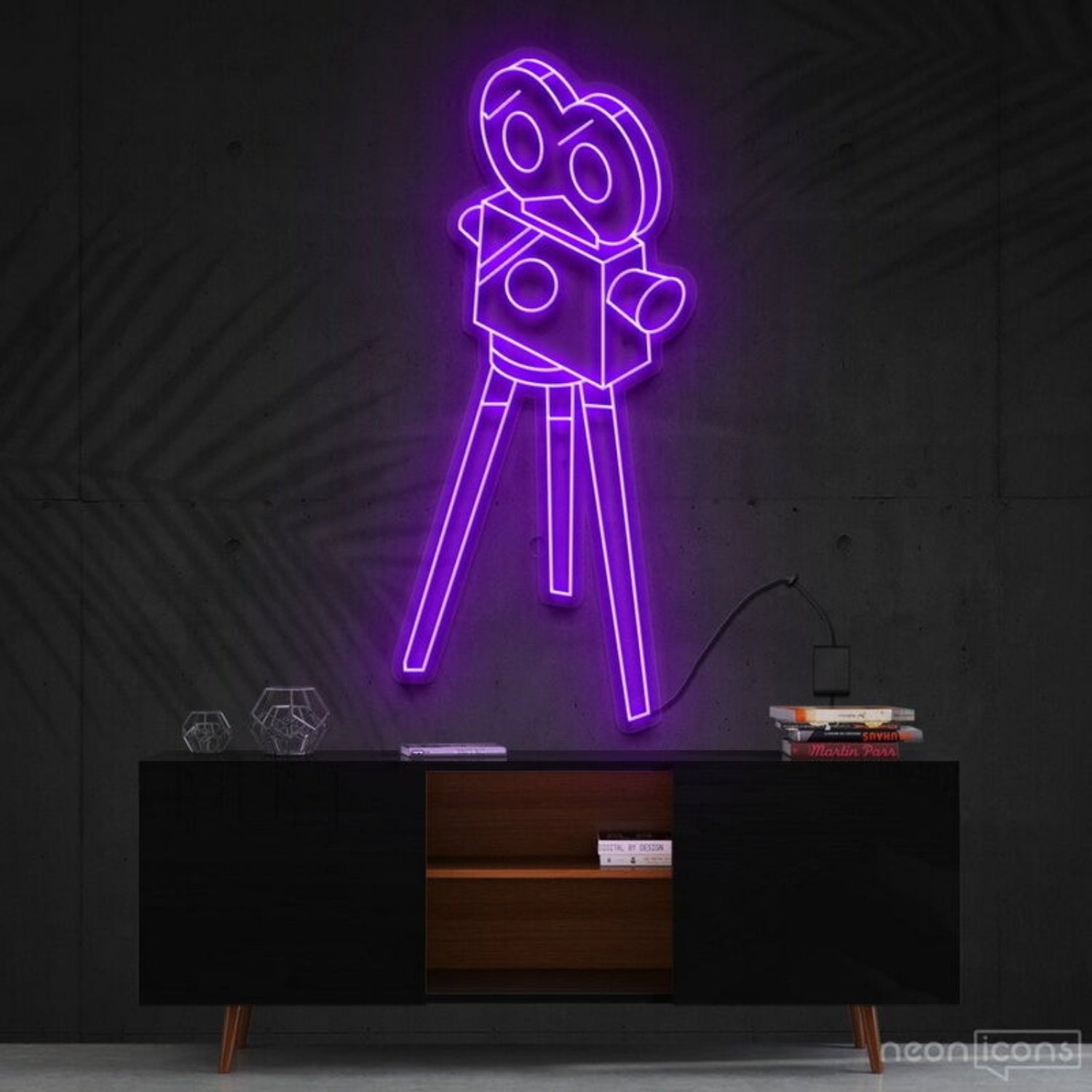 Camera Roll Led Neon Sign For Photography Enthusiasts | Shineneon