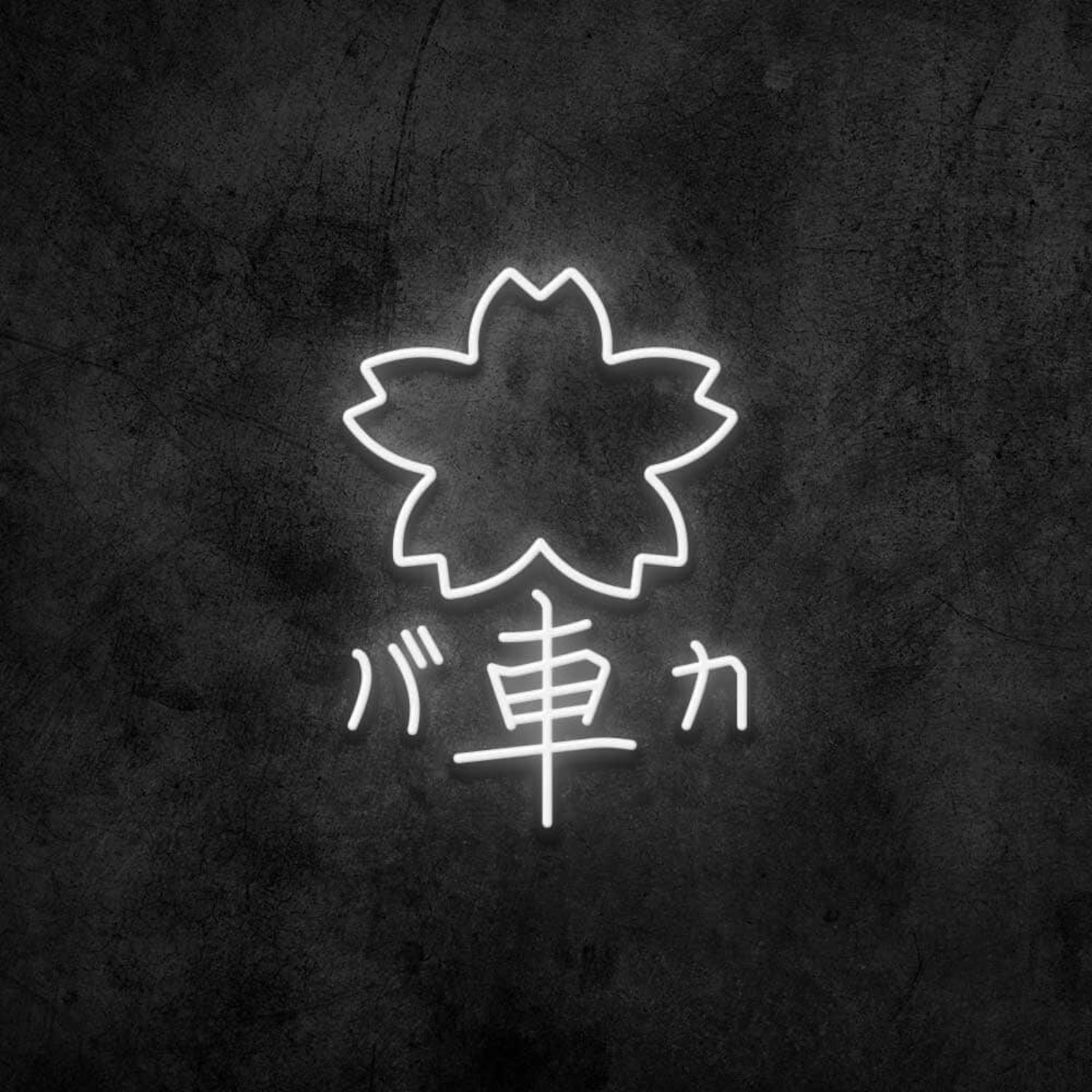 Car Crazy Neon Sign | Shineneon