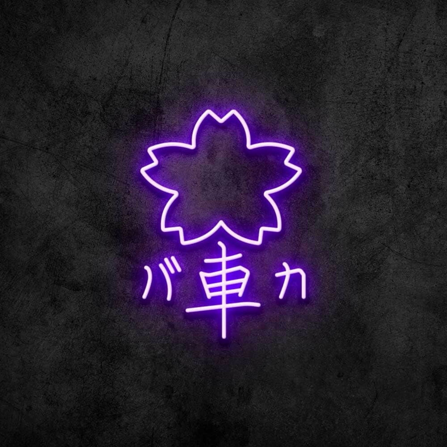 Car Crazy Neon Sign | Shineneon