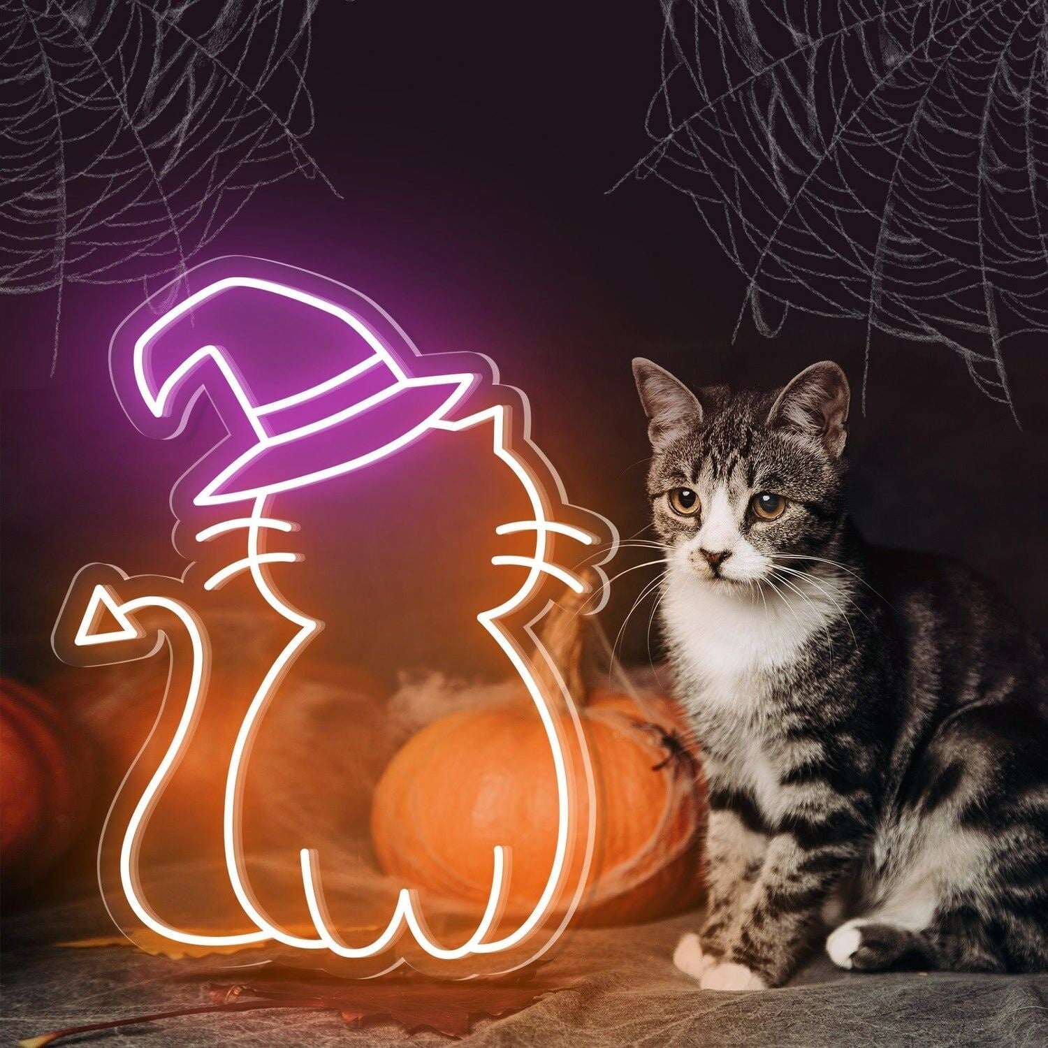 Cat Hat Cute Halloween Led Neon Sign - Shineneon