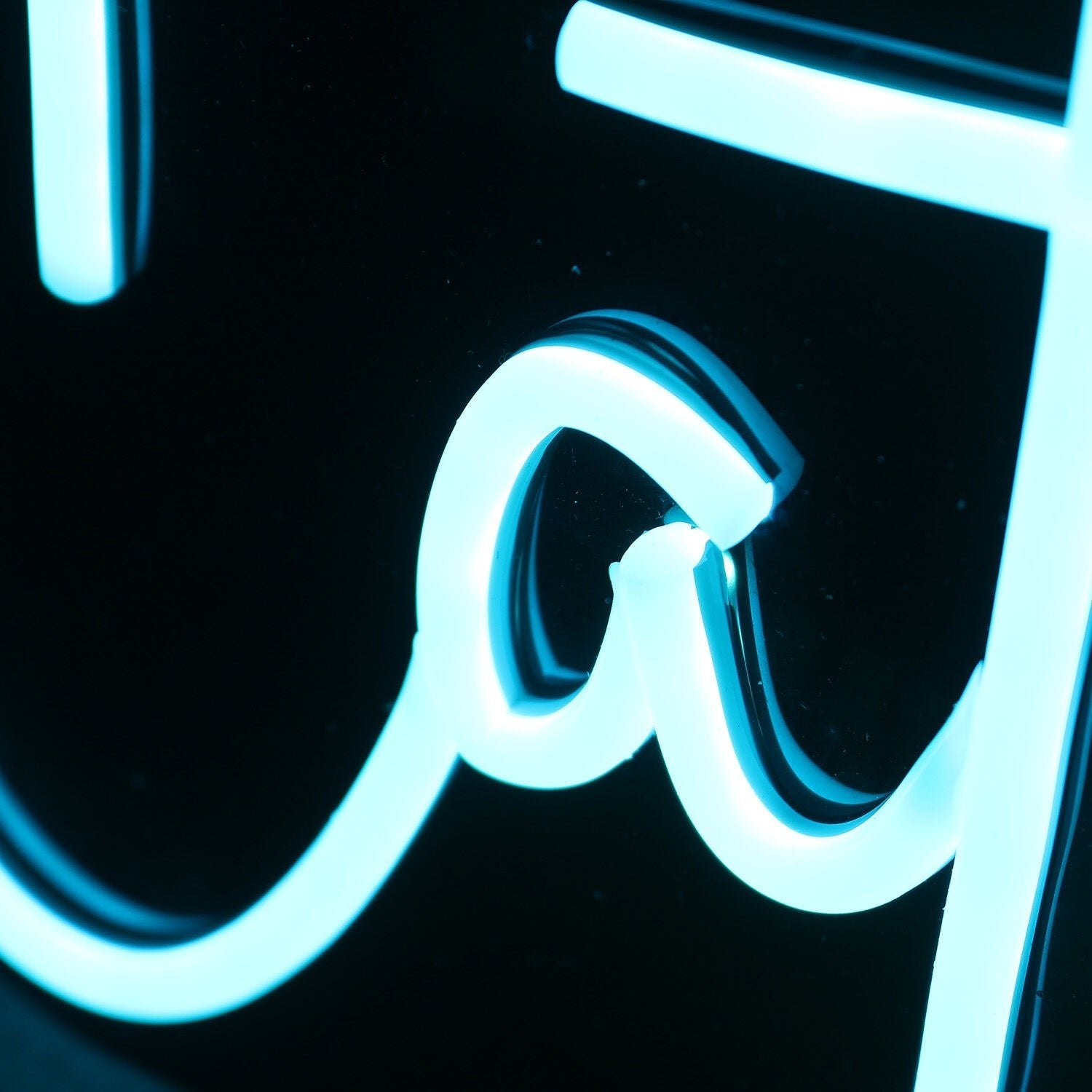 Catifye Custom Led Neon Sign - Shineneon