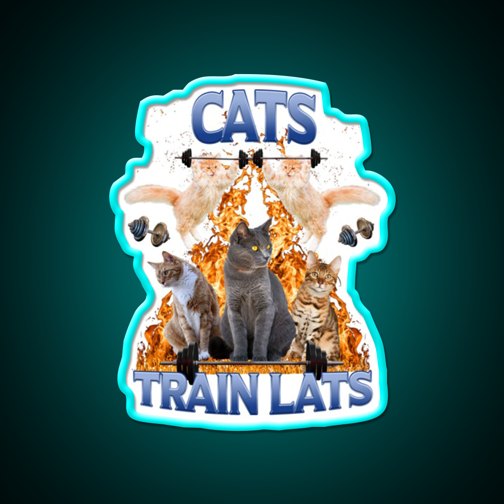 Cats Train Lats Gym Fitness Led Neon Sign Rgb Color - Size and dimension reference