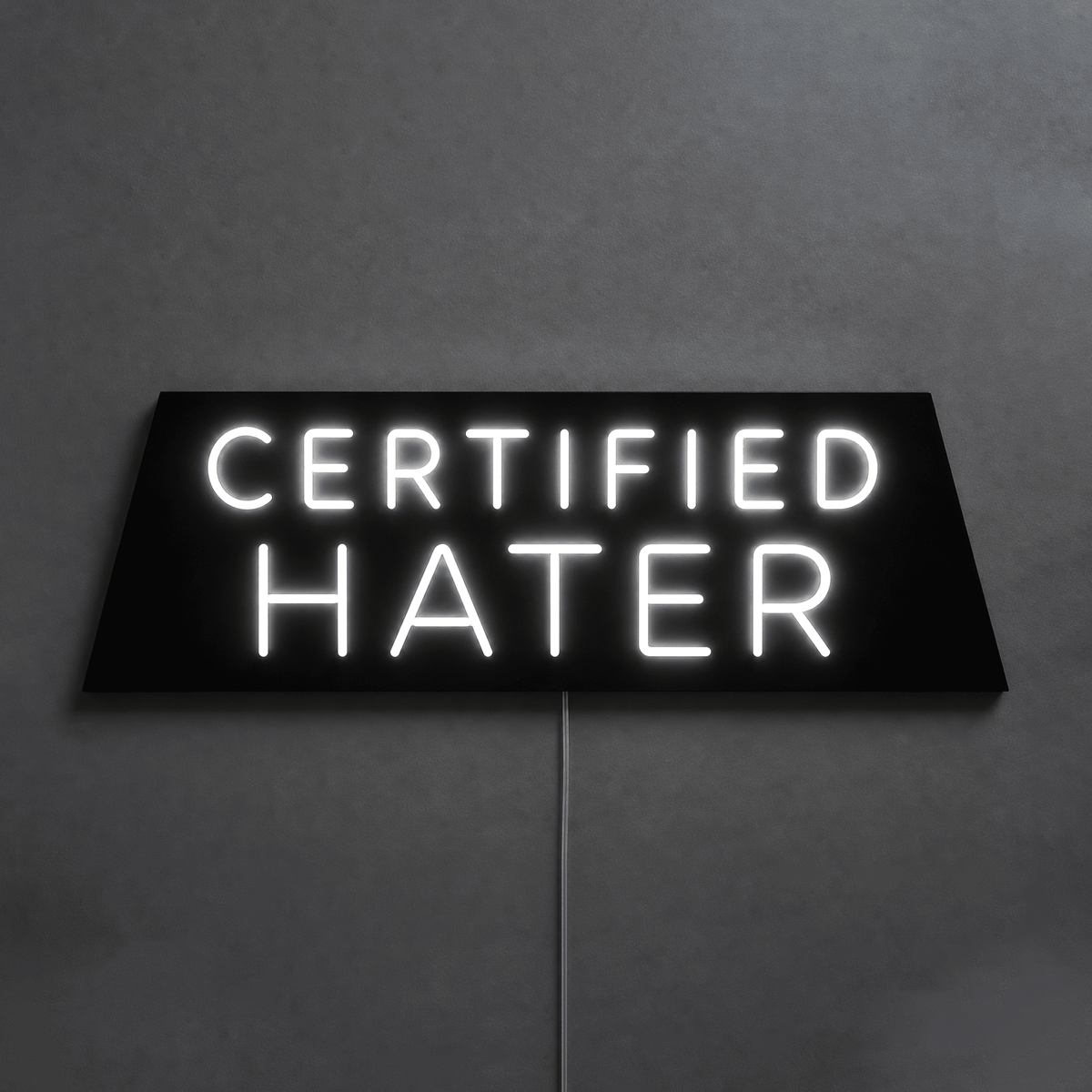 CERTIFIED HATER Custom LED Neon Sign - Shineneon