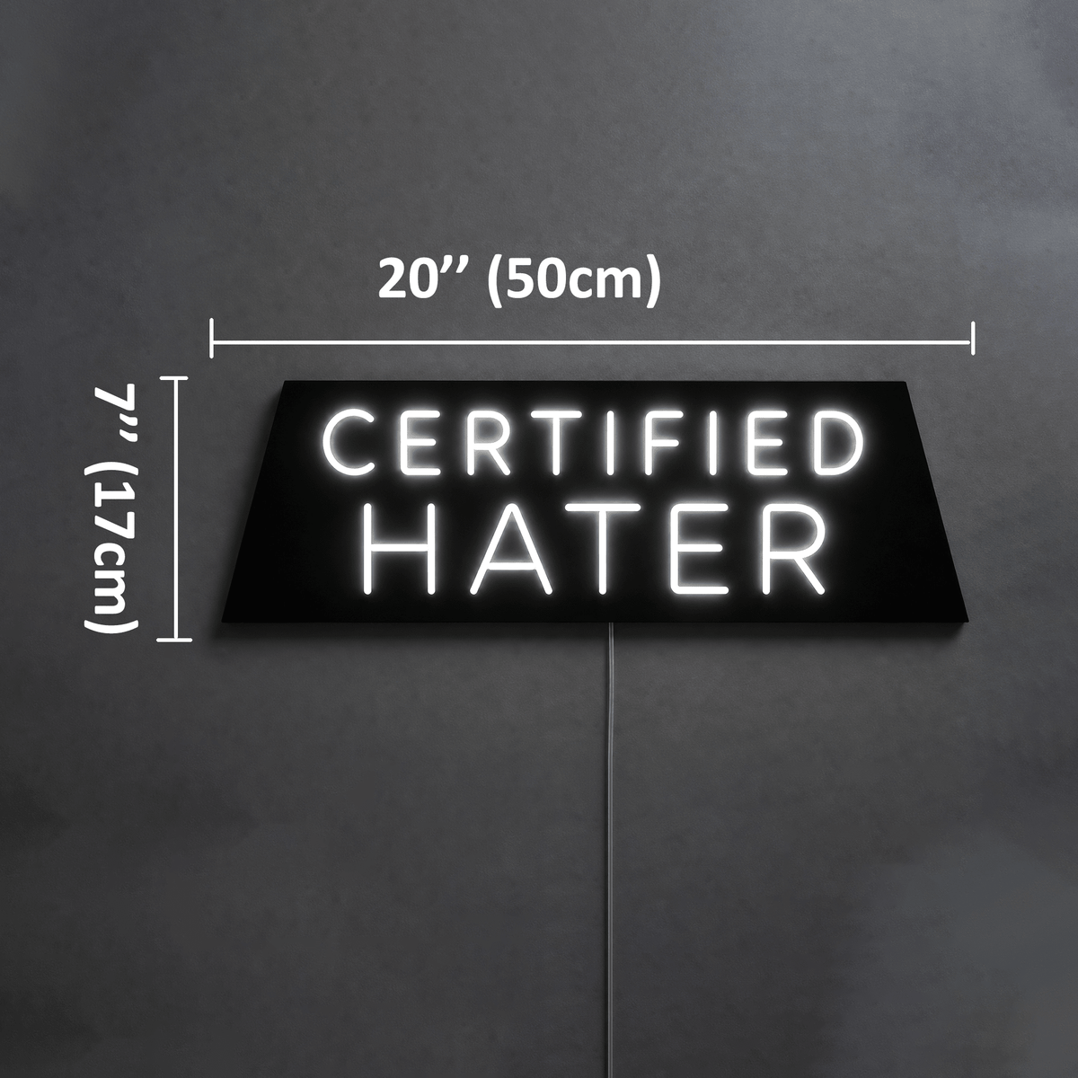 CERTIFIED HATER Custom LED Neon Sign - Shineneon