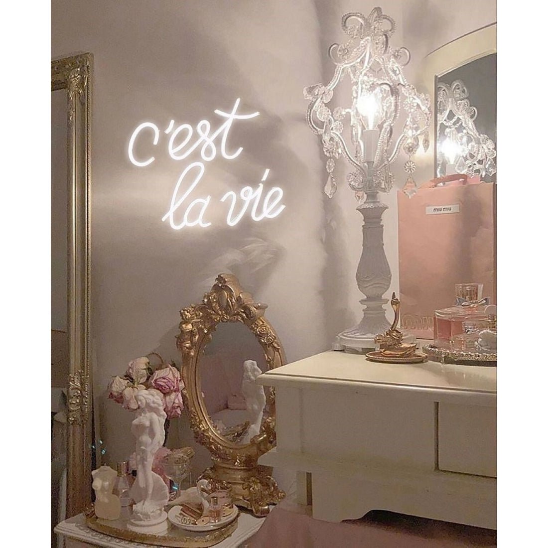 Cest La Vie French Led Sign Business Neon Signs Wall Art - Shineneon