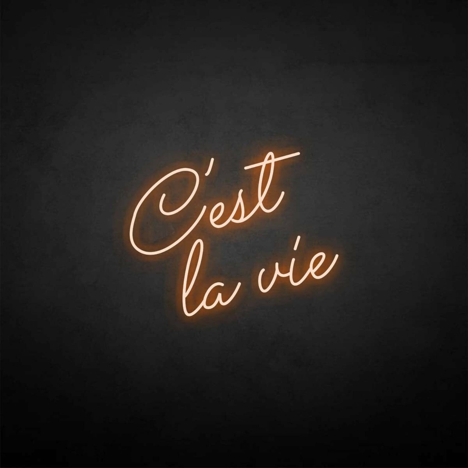 Cest La Vie Neon Sign | Shineneon