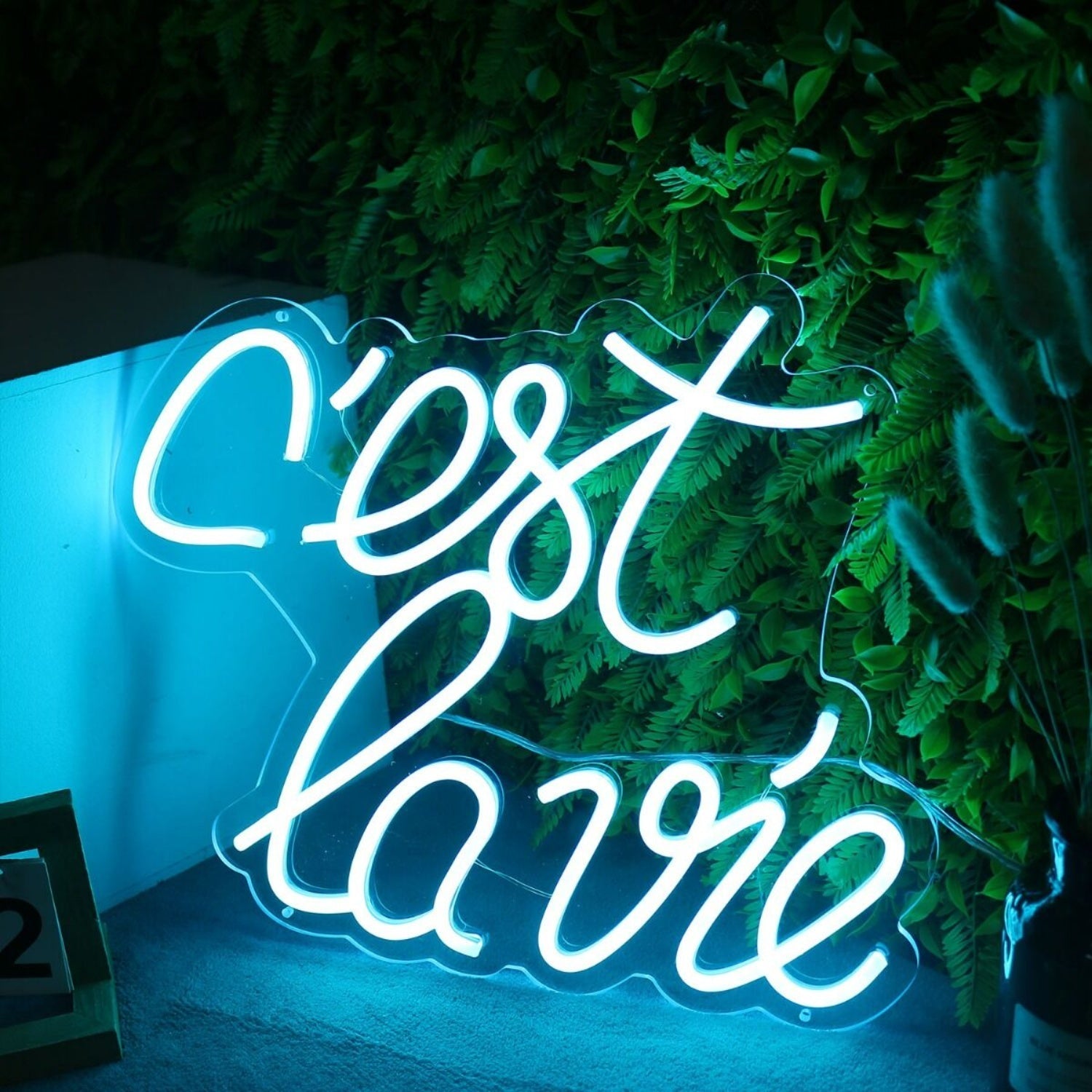 Cest Lavie Led Neon Sign - Shineneon