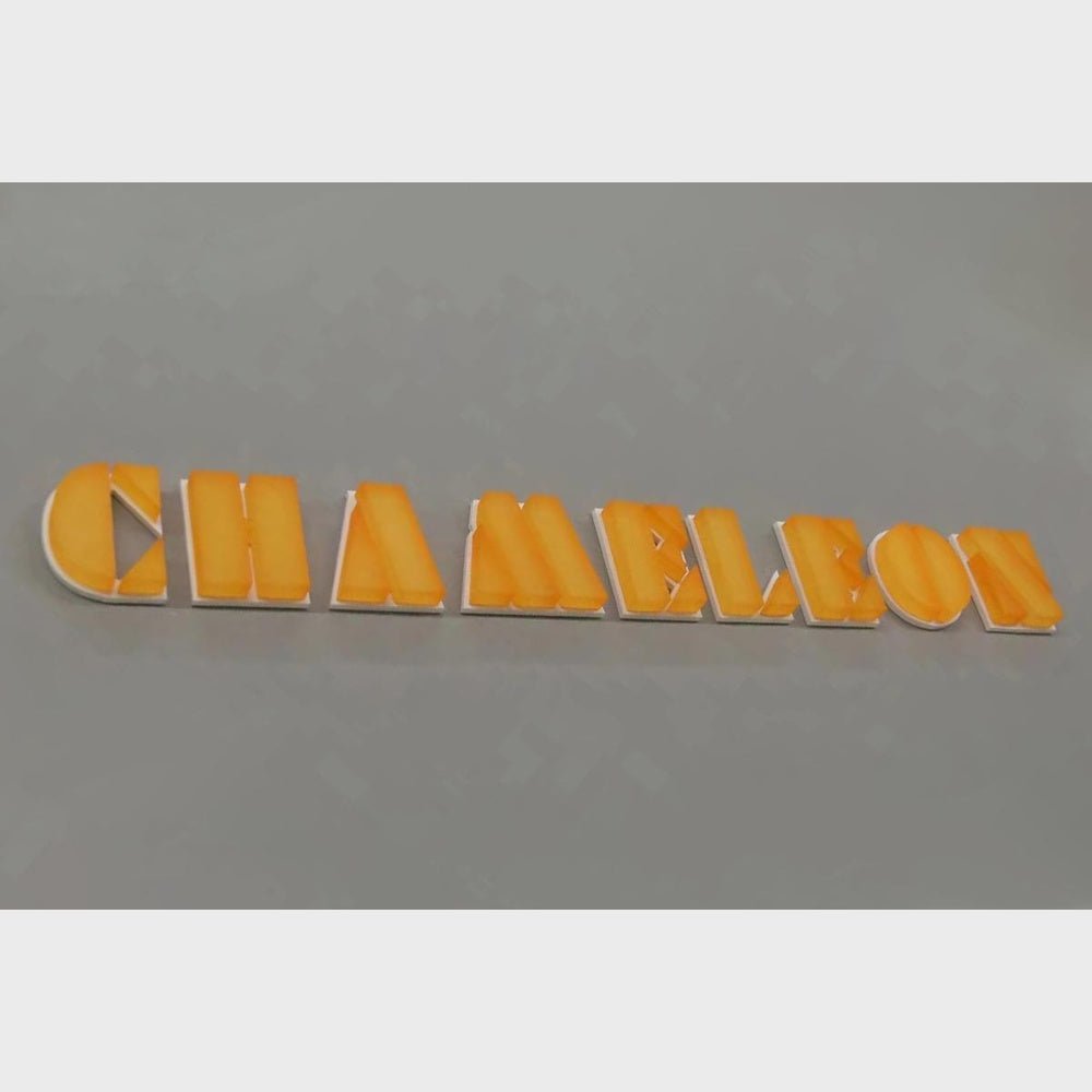 Chameleon 3D Frontlit And Backlit Channel Letter Led Light Sign - Shineneon