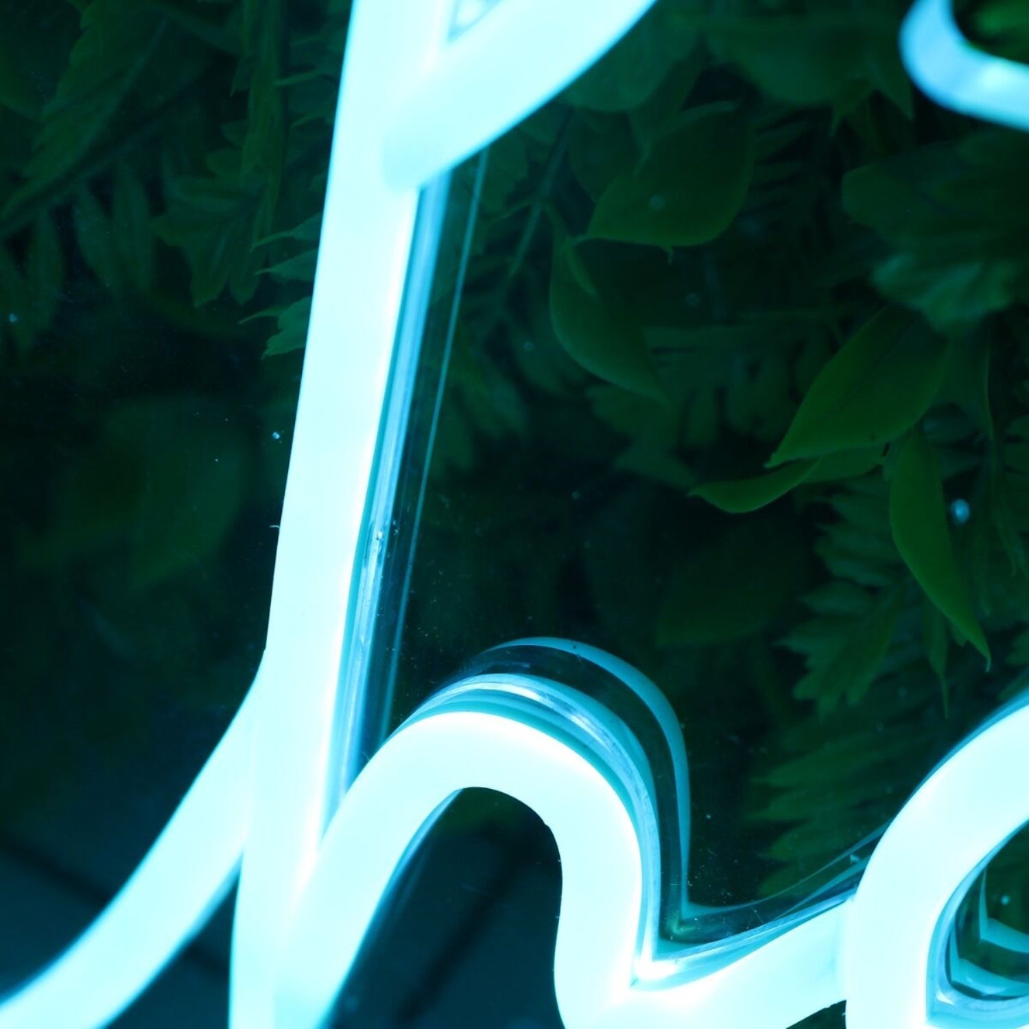 Charlotte Name Led Neon Sign - Shineneon