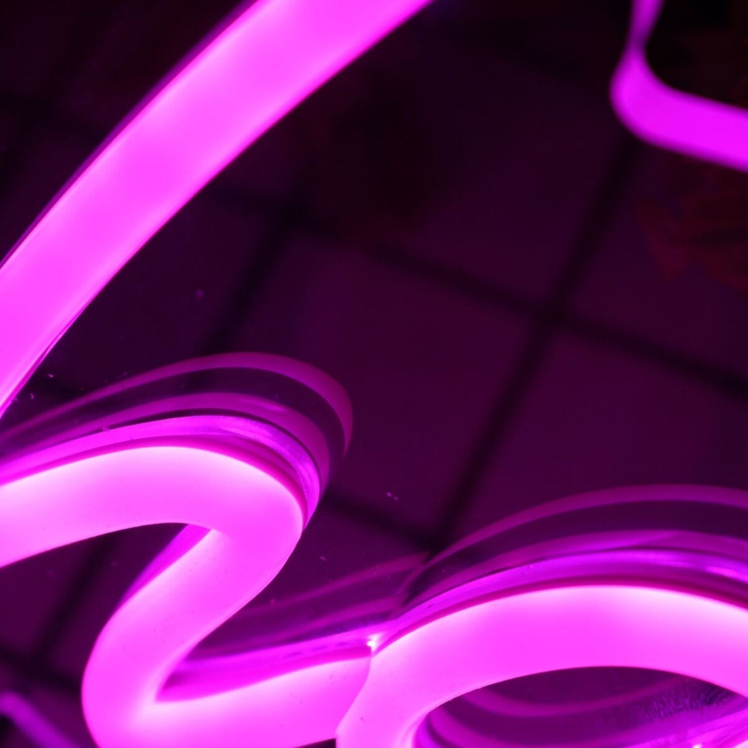 Charlotte Purple Led Neon Sign - Shineneon
