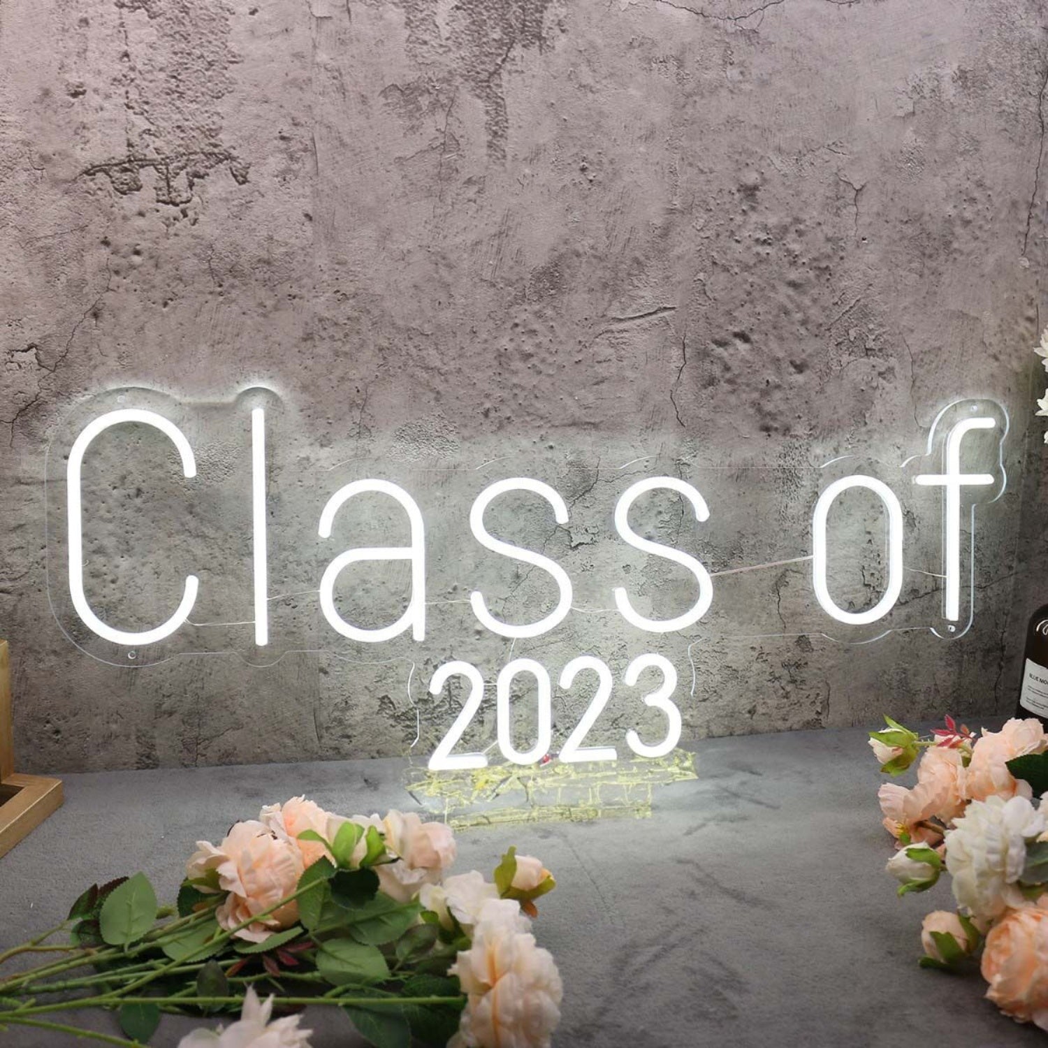 Class Of 2023 White Led Neon Sign - Shineneon