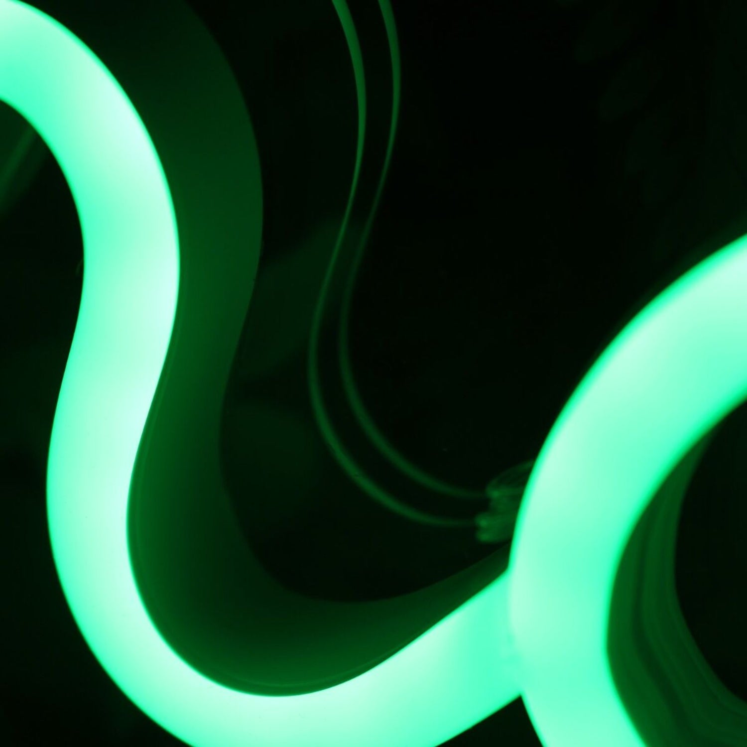 Congratulations Lauren Custom Led Neon Sign - Shineneon