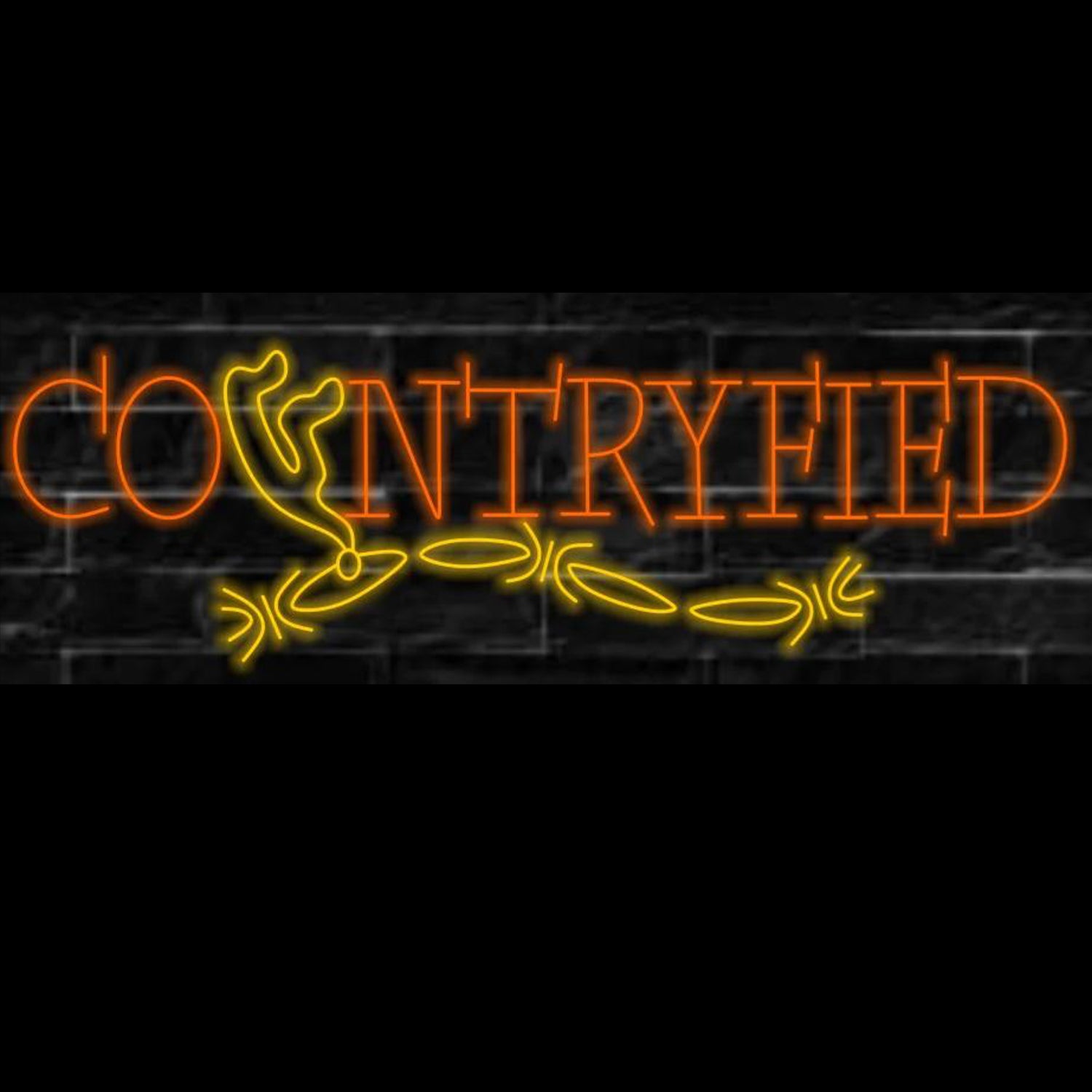 Countryfied Retro Vintage Led Neon Sign With Vine Motif For Cafe Shop Decor-1 | Shineneon