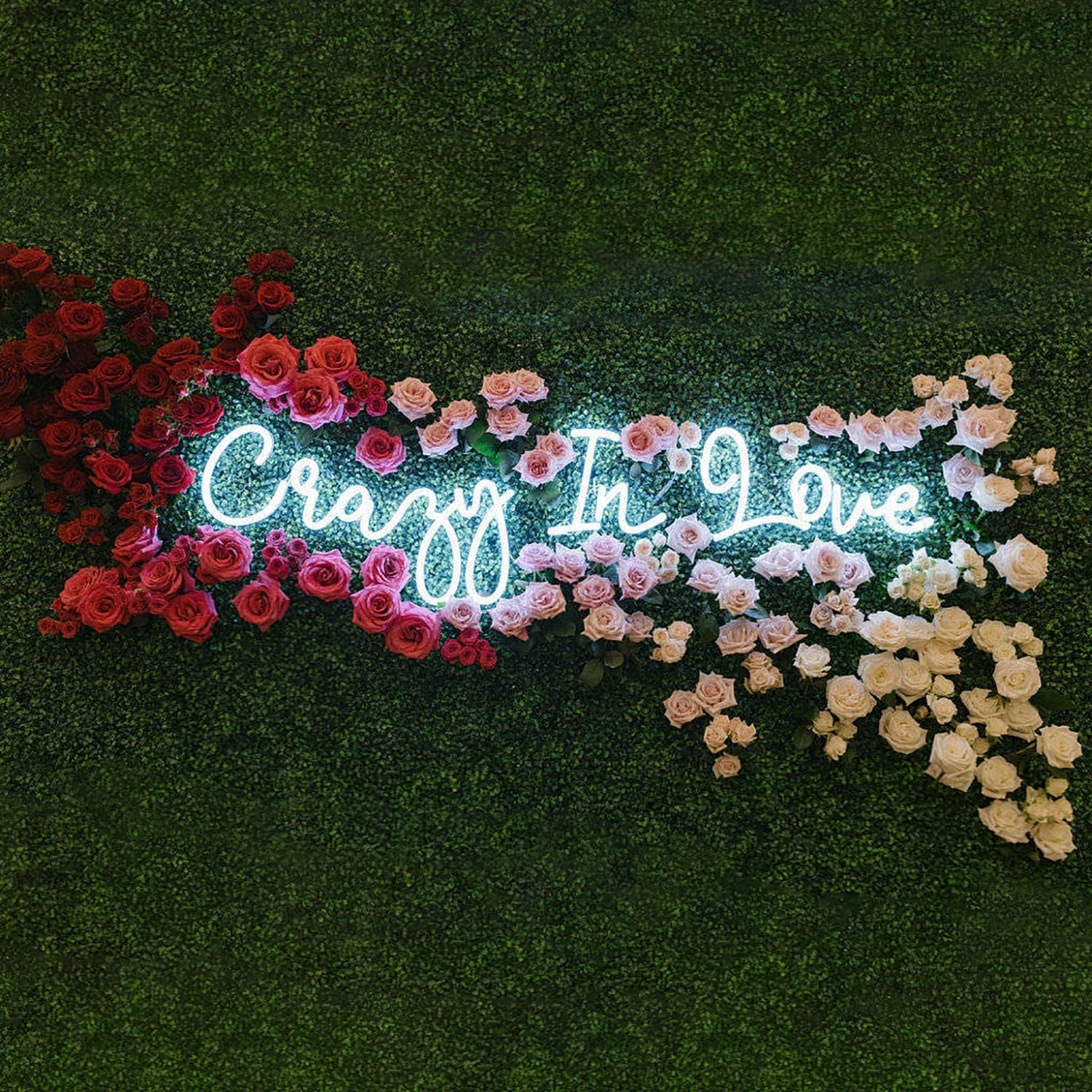 Crazy In Love Led Neon Light Sign | Shineneon