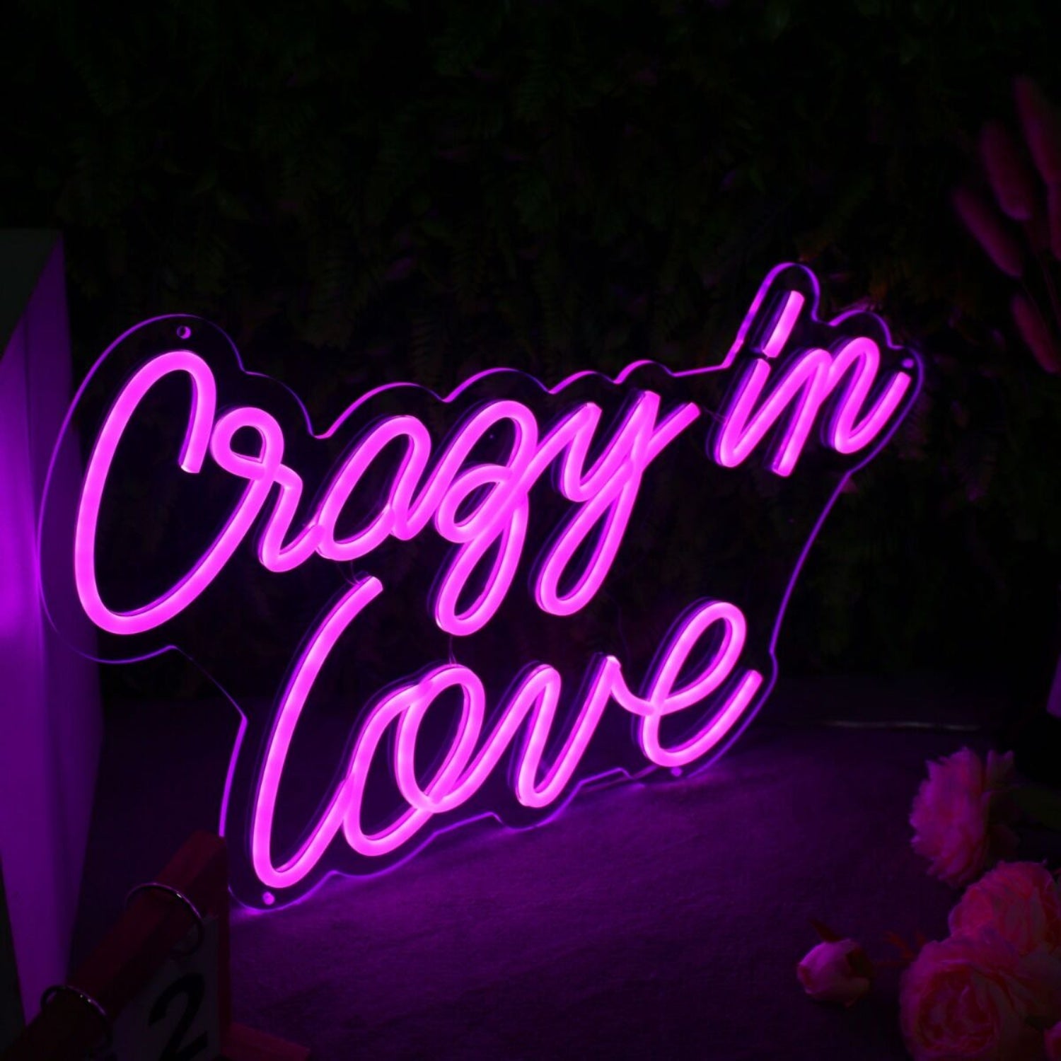 Crazy In Love Led Neon Sign | Shineneon