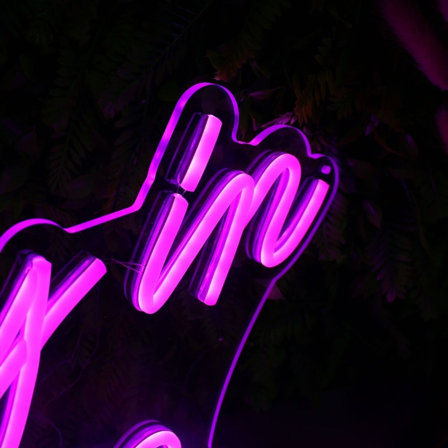 Crazy In Love Led Neon Sign | Shineneon